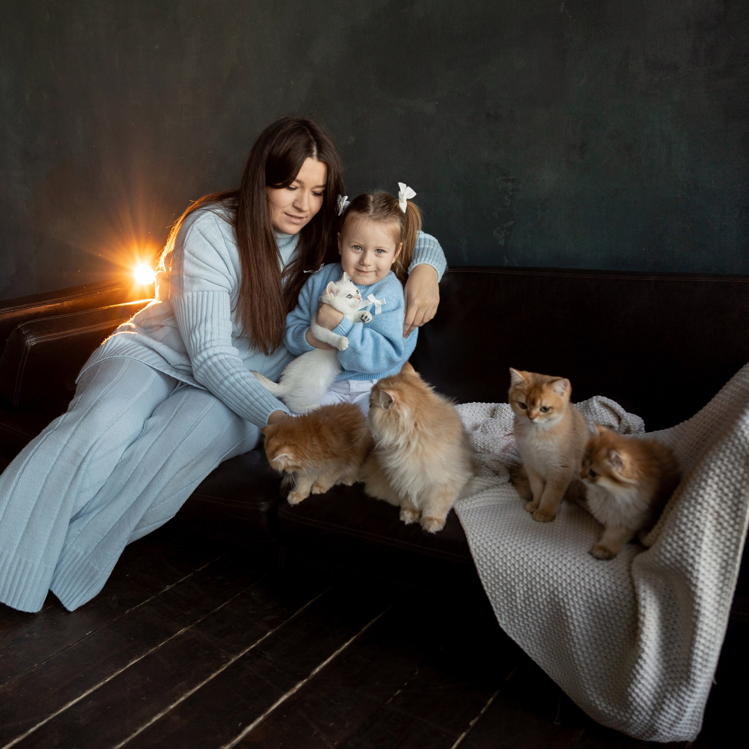 Фотосессия с котятами. Семейный и свадебный фотограф в Санкт-Петербурге Татьяна Швыкова