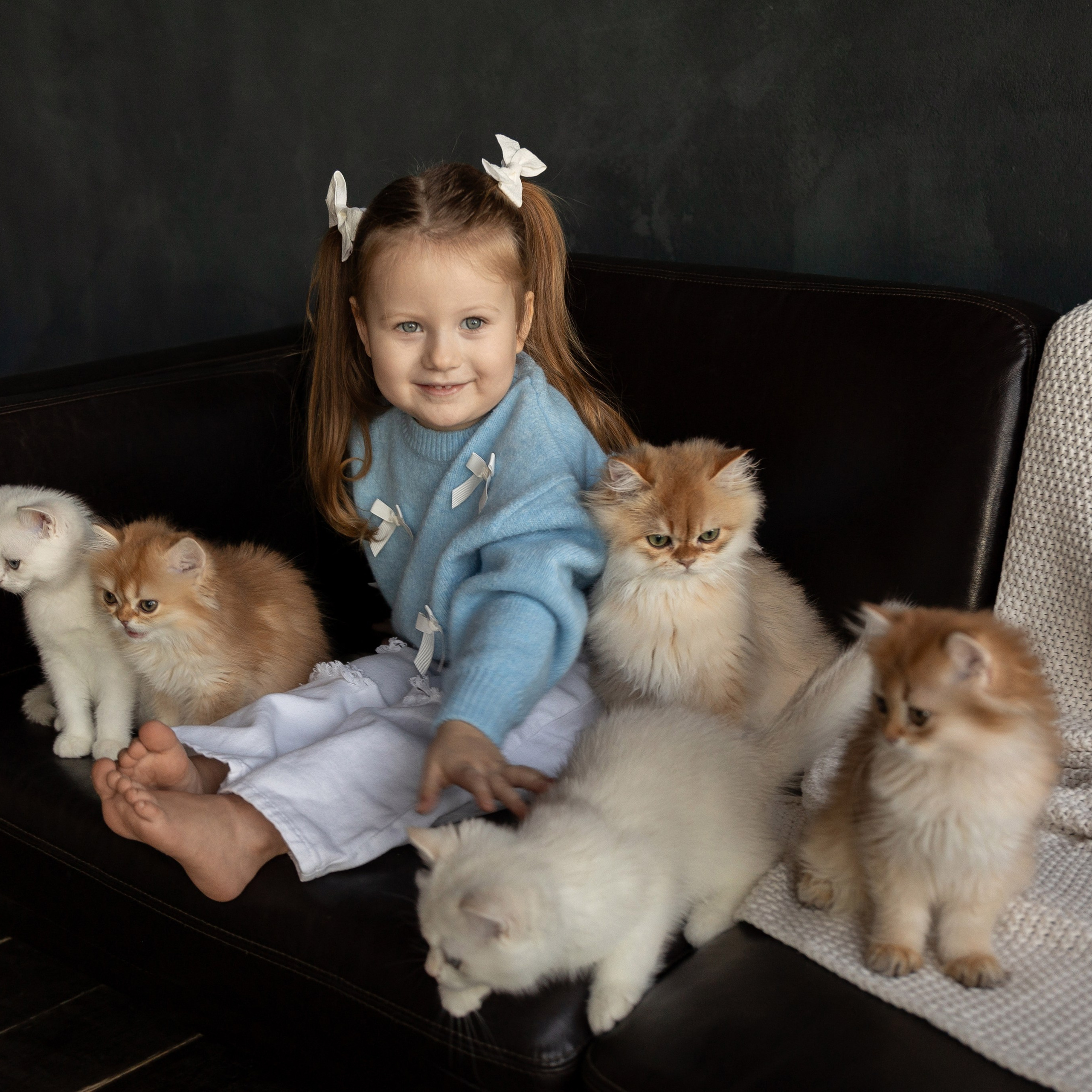 Фотосессия с котятами. Семейный и свадебный фотограф в Санкт-Петербурге Татьяна Швыкова