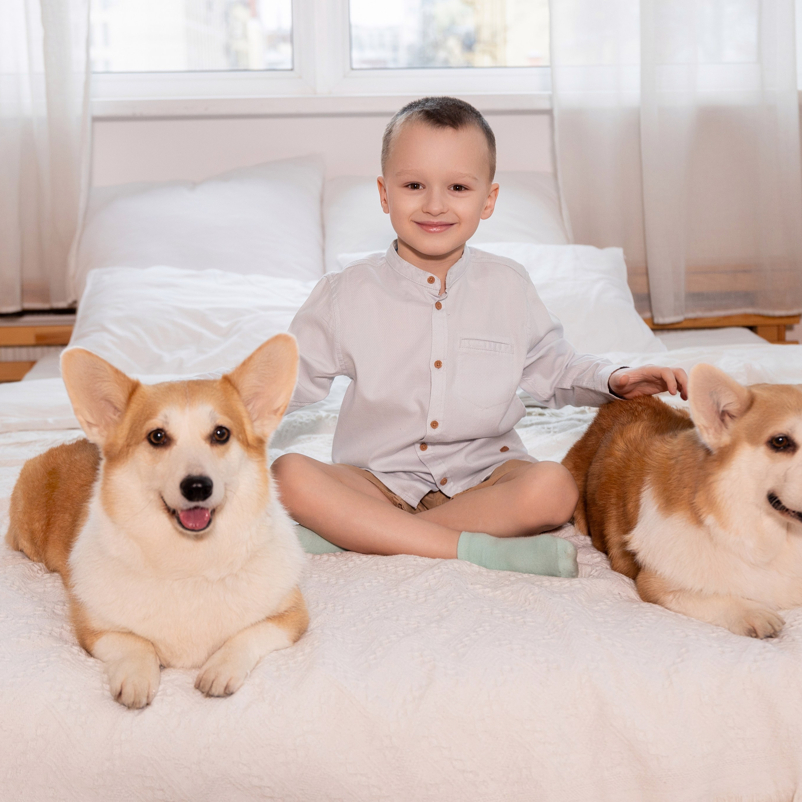 Фотосессия с корги. Семейный и свадебный фотограф в Санкт-Петербурге Татьяна Швыкова