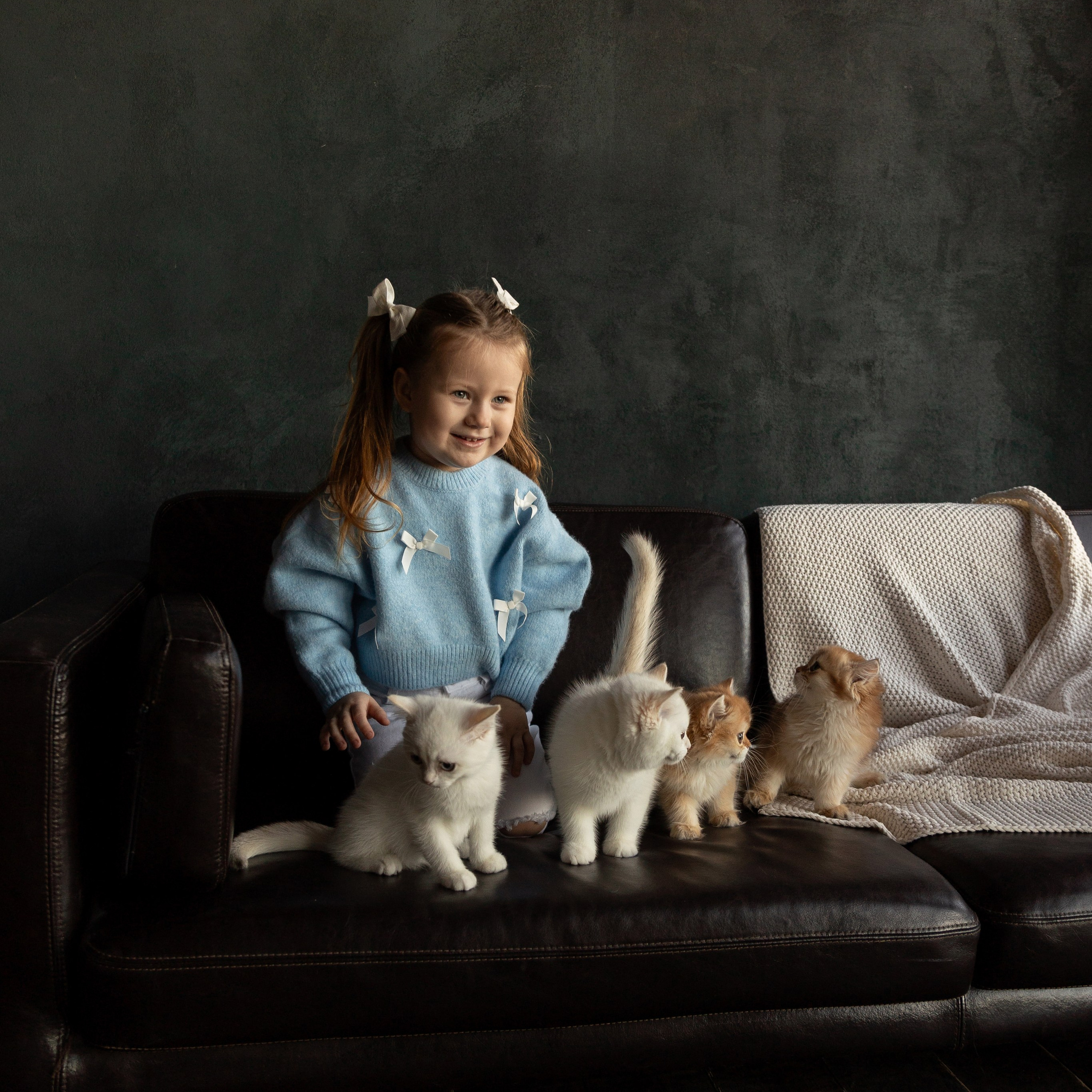 Фотосессия с котятами. Семейный и свадебный фотограф в Санкт-Петербурге Татьяна Швыкова