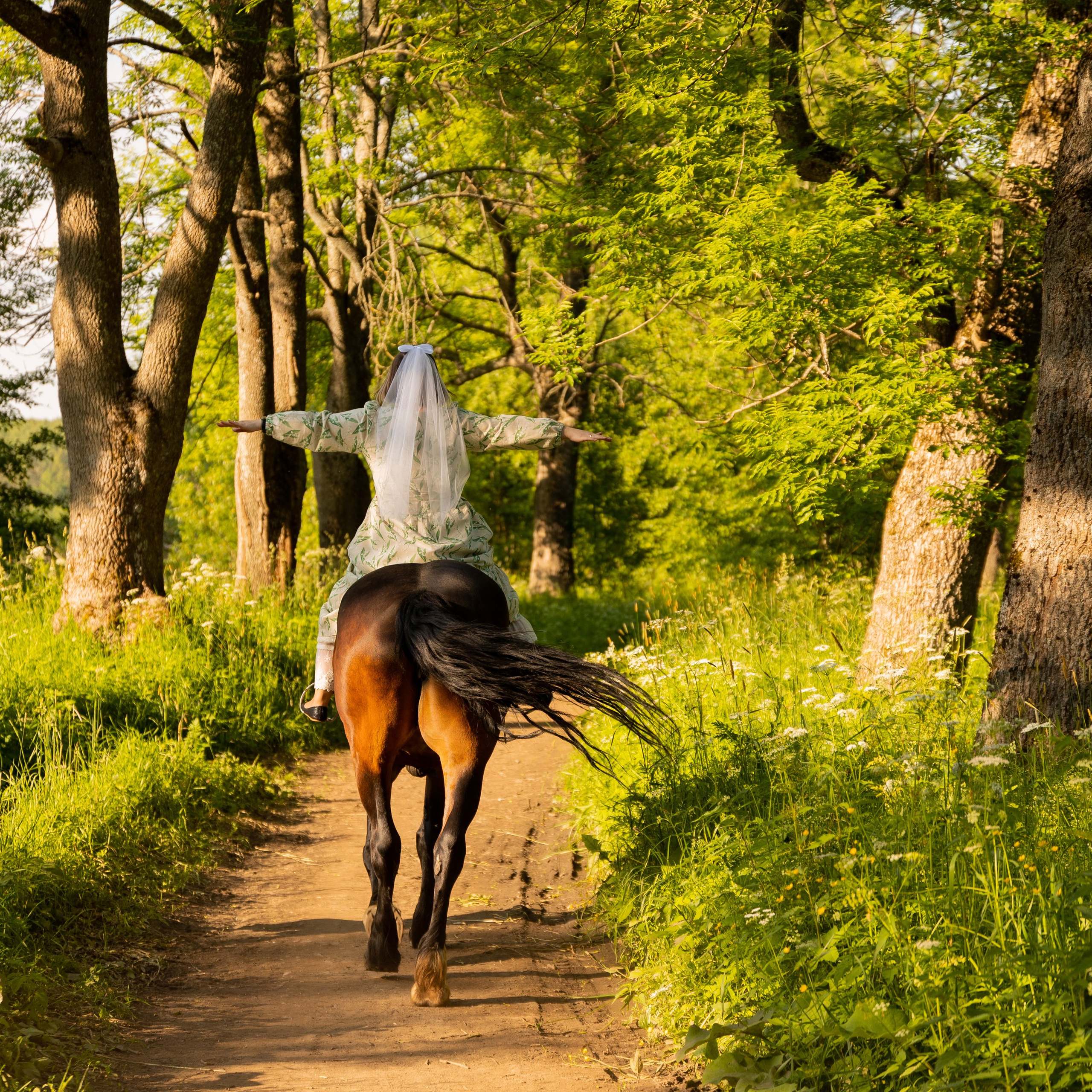 Фотопрогулка на лошадях. Семейный и свадебный фотограф в Санкт-Петербурге Татьяна Швыкова