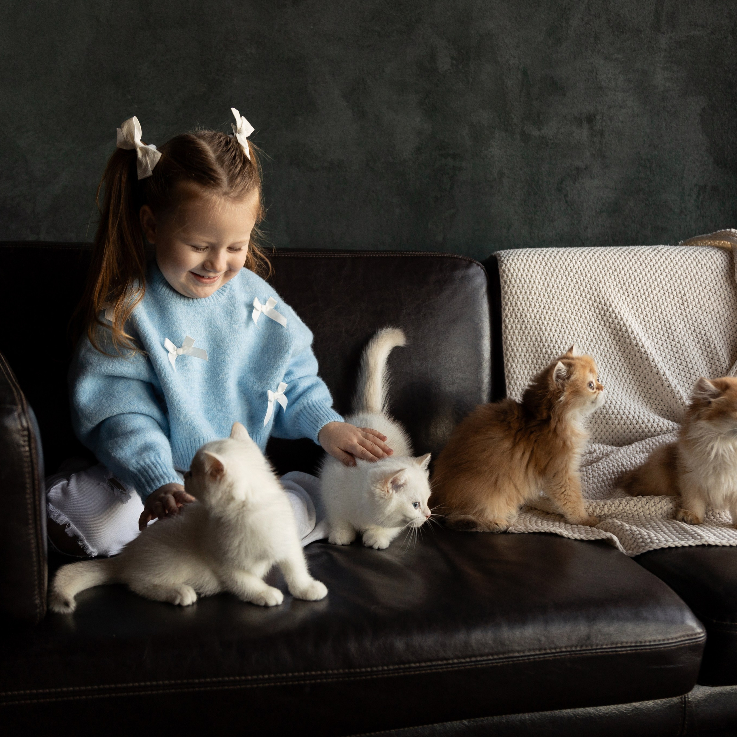 Фотосессия с котятами. Семейный и свадебный фотограф в Санкт-Петербурге Татьяна Швыкова