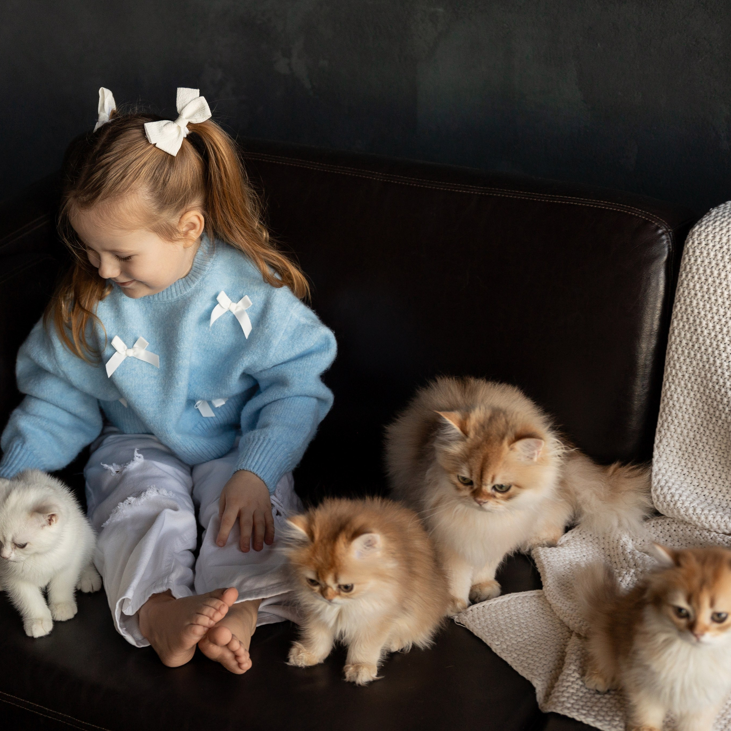 Фотосессия с котятами. Семейный и свадебный фотограф в Санкт-Петербурге Татьяна Швыкова