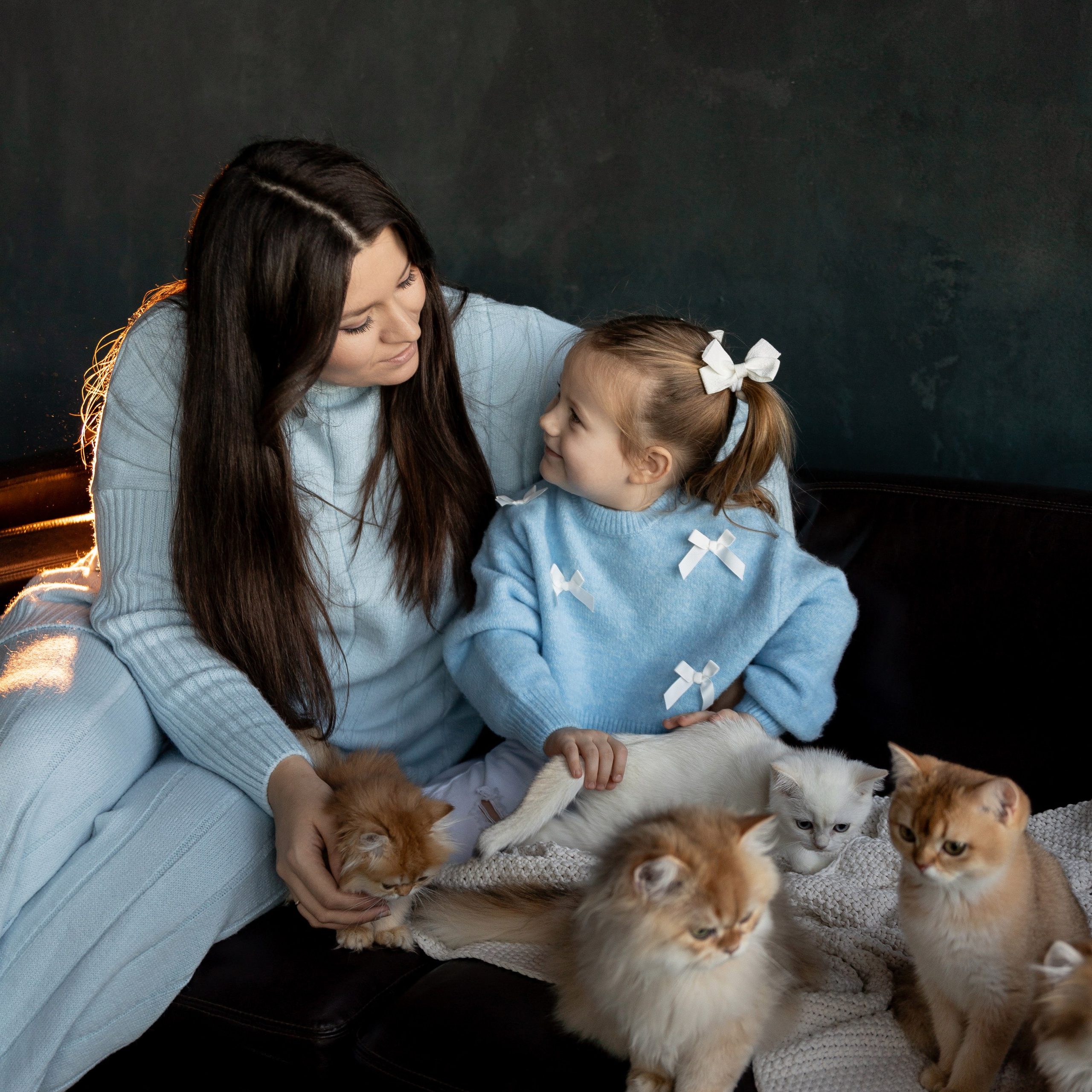 Фотосессия с котятами. Семейный и свадебный фотограф в Санкт-Петербурге Татьяна Швыкова