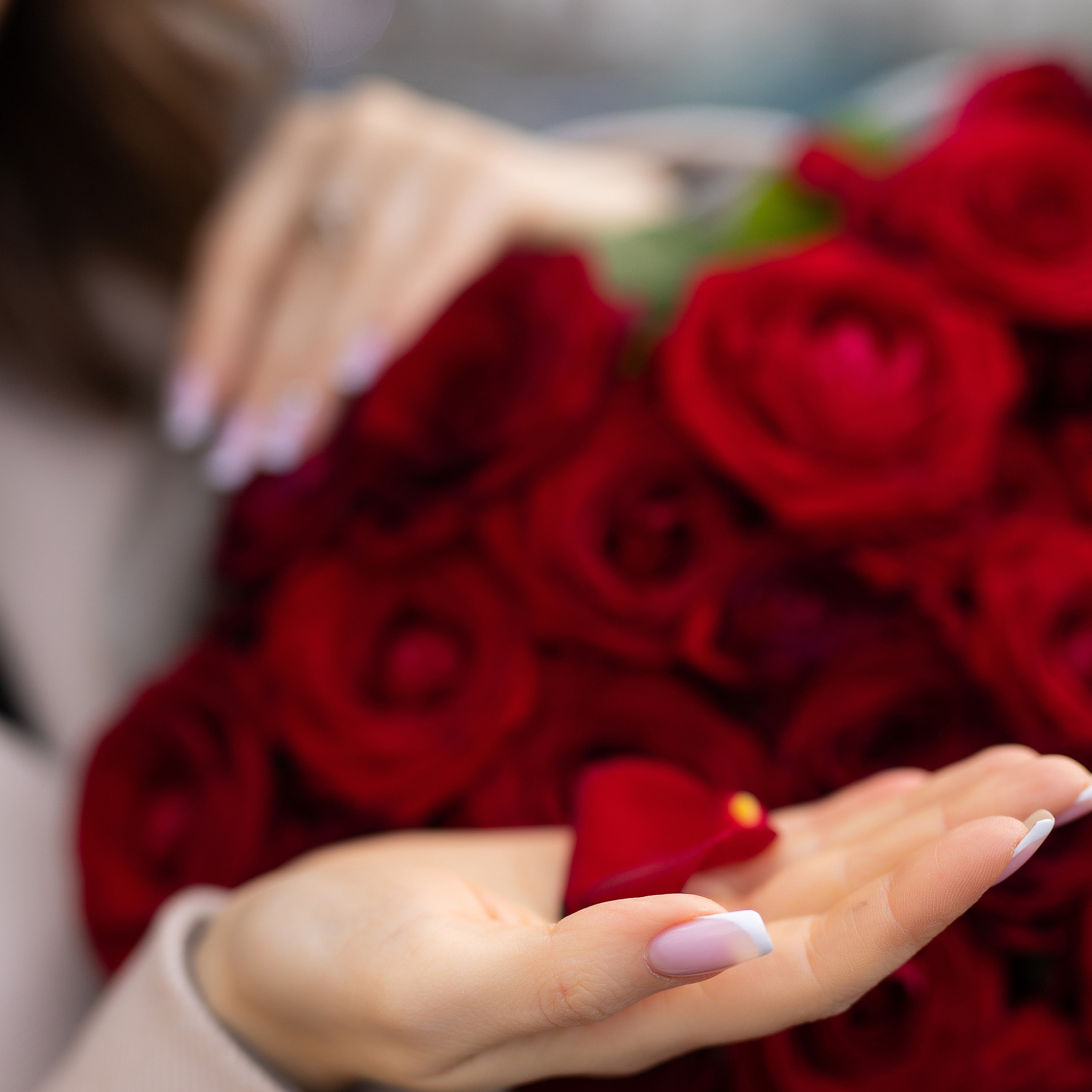 лепестки роз