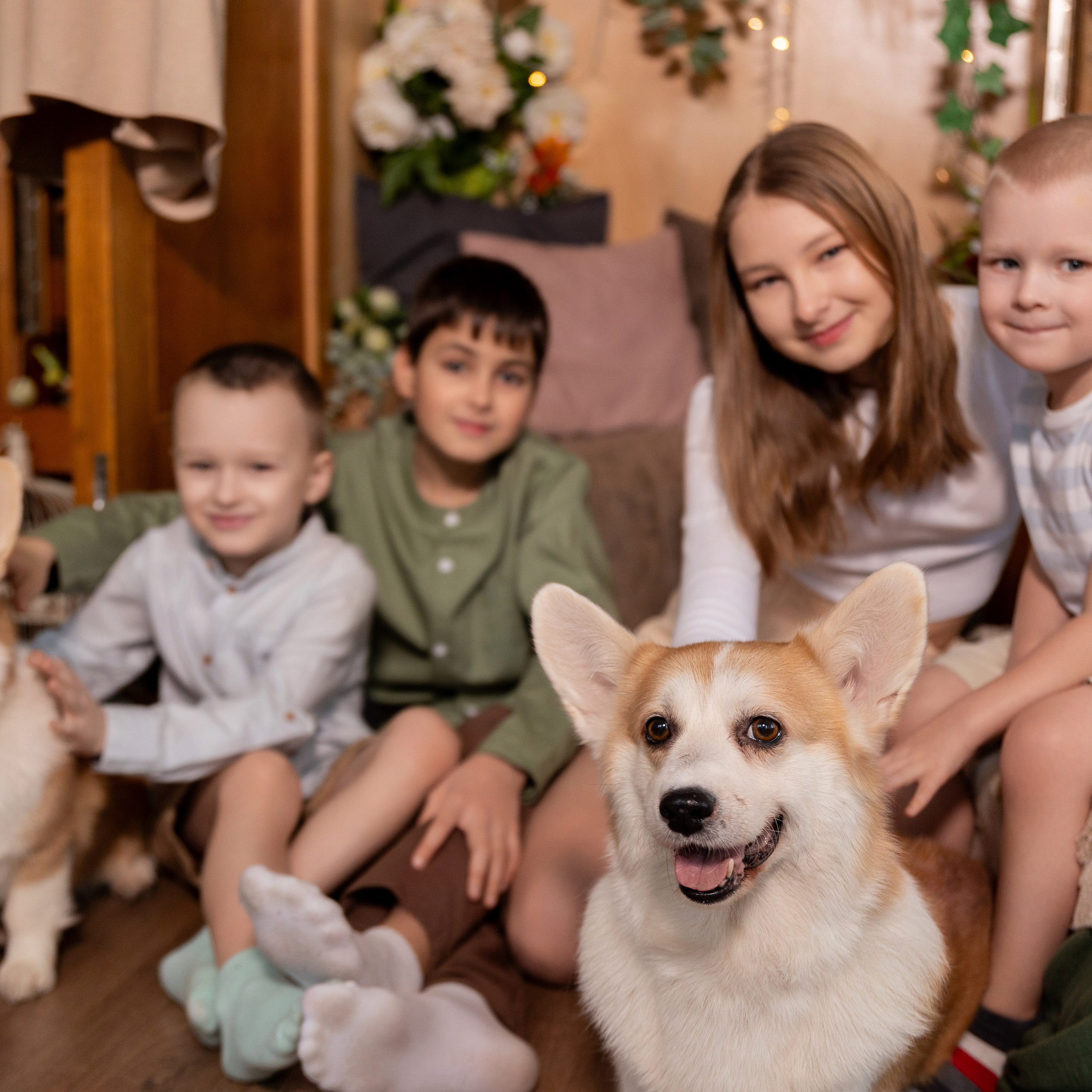 Фотосессия с корги. Семейный и свадебный фотограф в Санкт-Петербурге Татьяна Швыкова