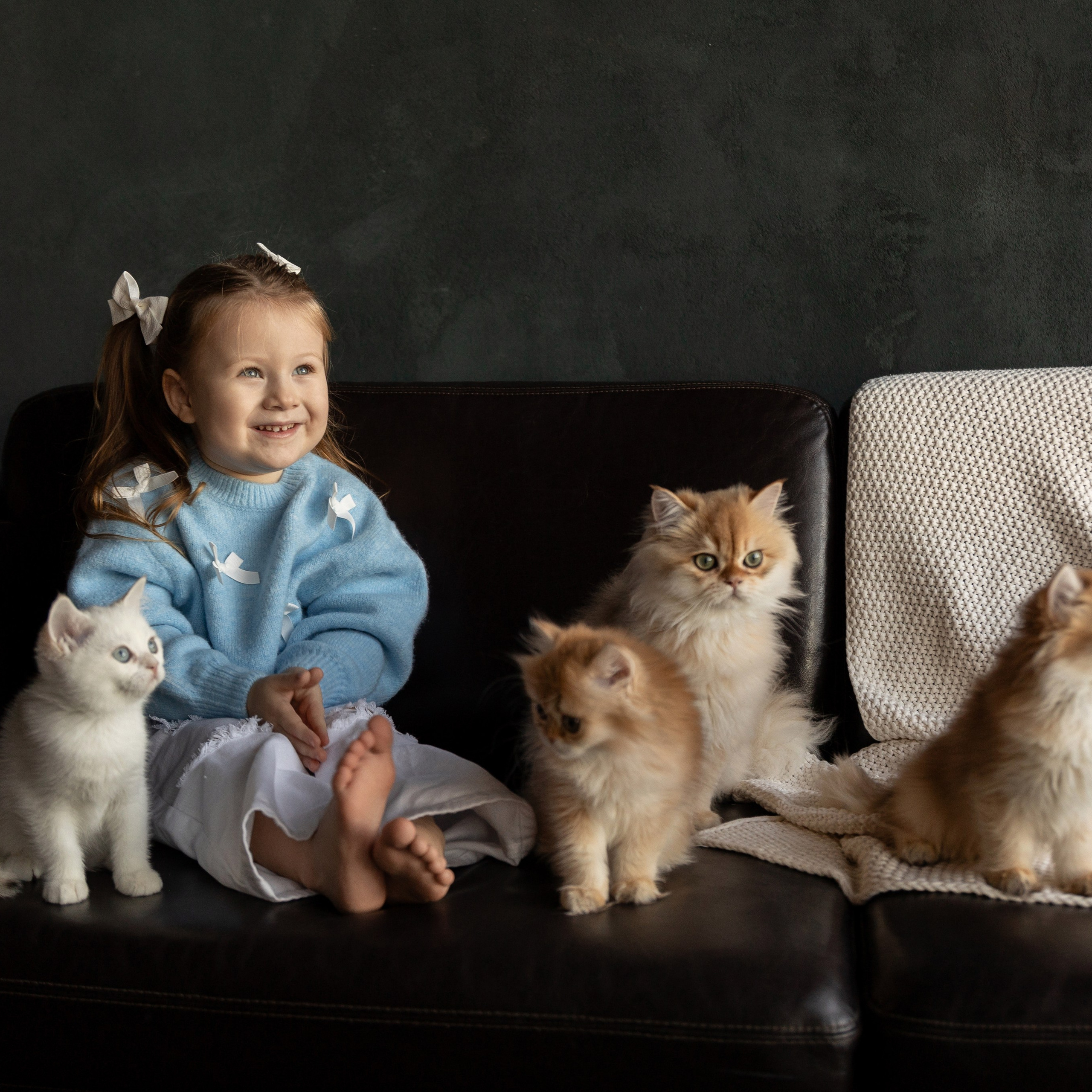 Фотосессия с котятами. Семейный и свадебный фотограф в Санкт-Петербурге Татьяна Швыкова