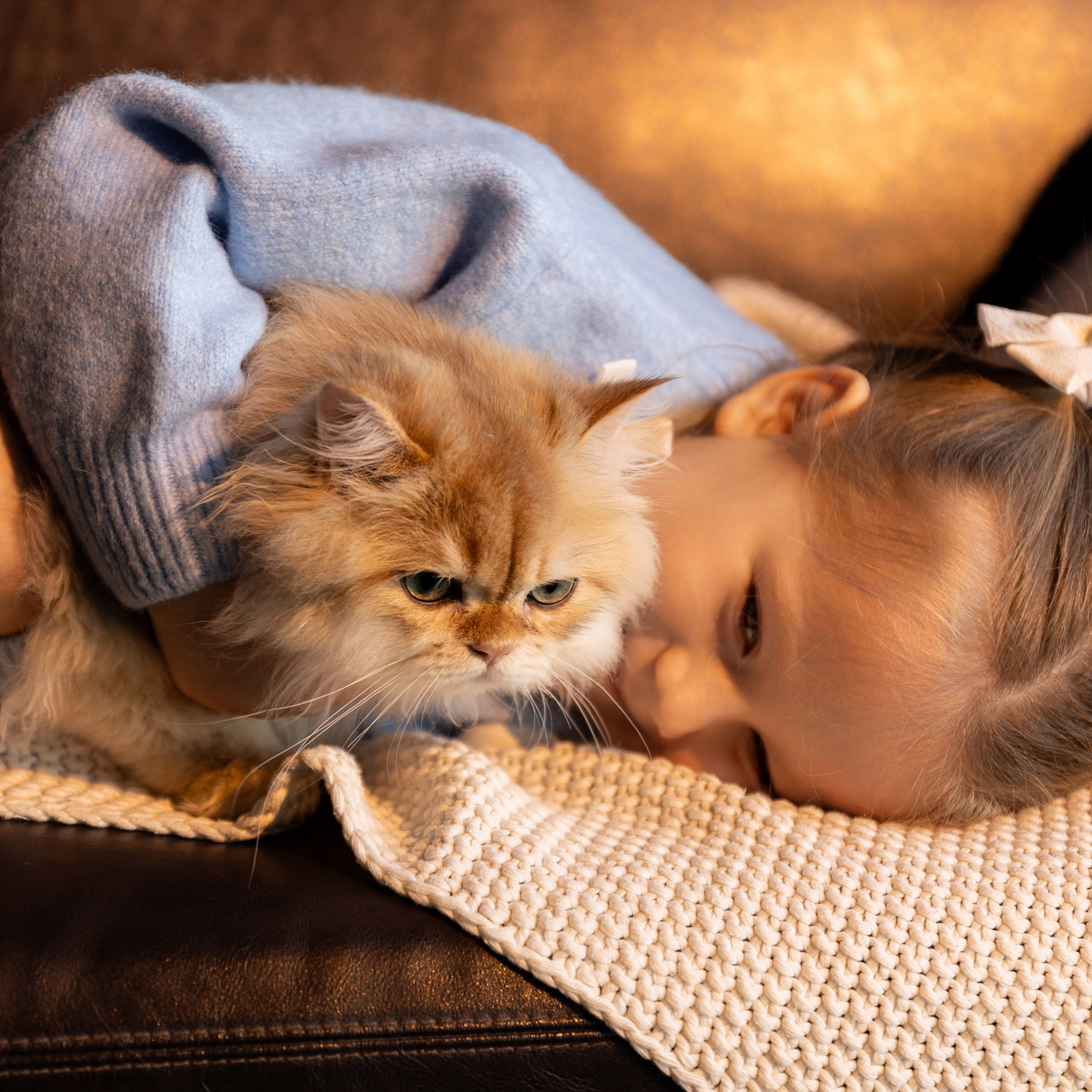 Фотосессия с котятами. Семейный и свадебный фотограф в Санкт-Петербурге Татьяна Швыкова