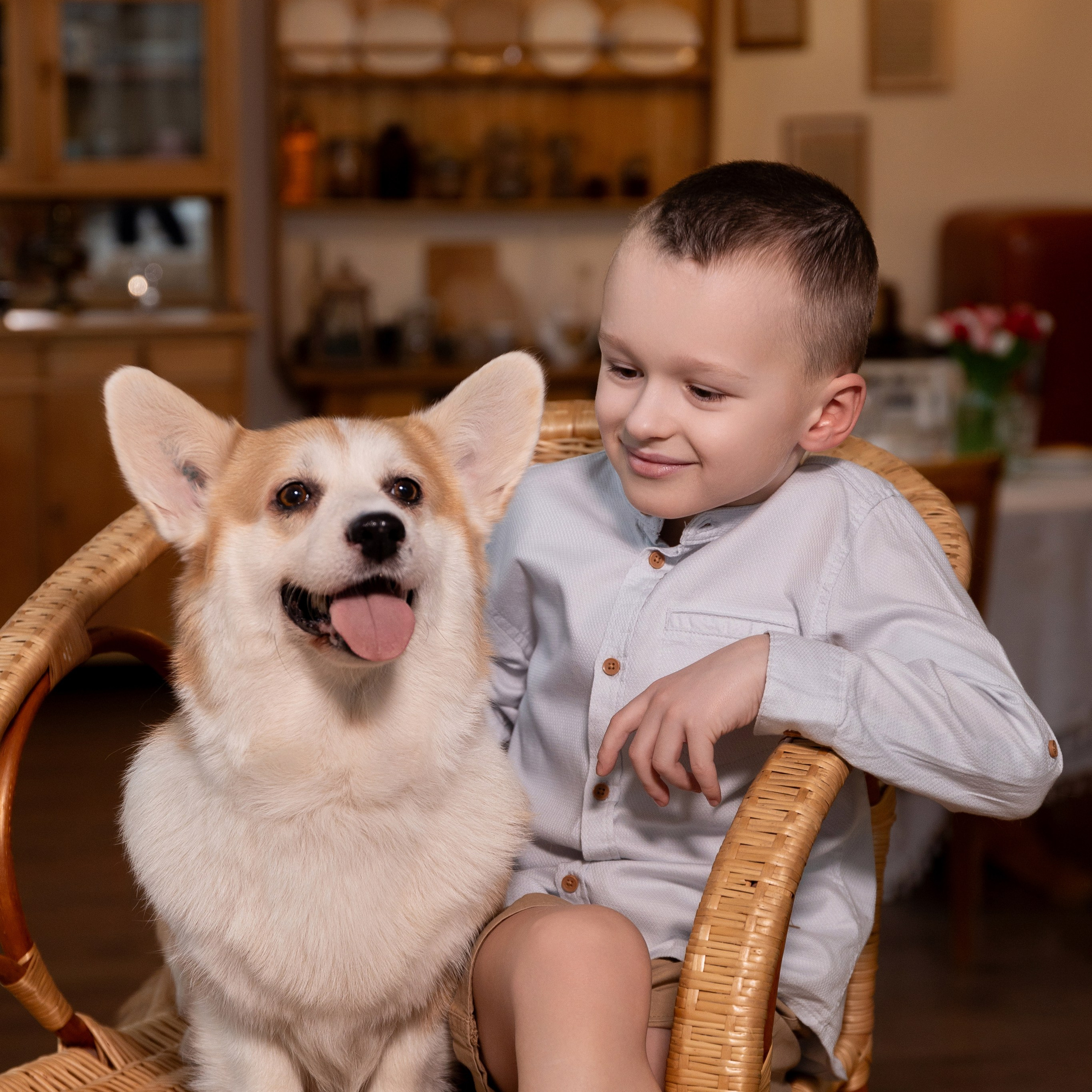 Фотосессия с корги. Семейный и свадебный фотограф в Санкт-Петербурге Татьяна Швыкова