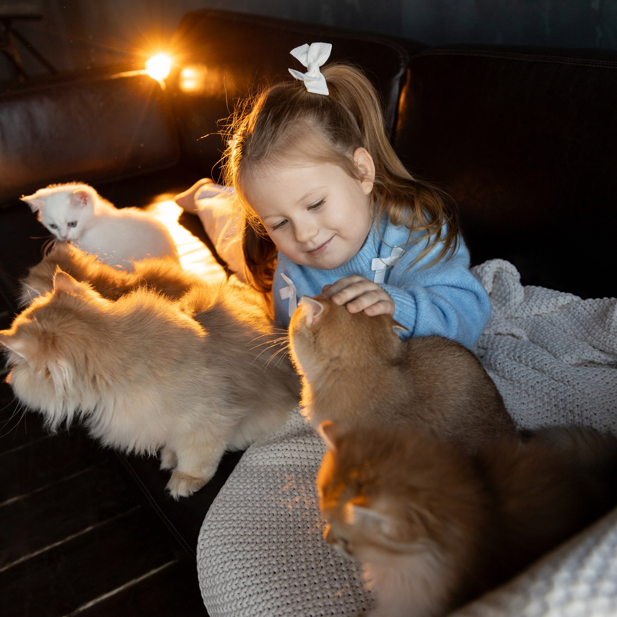 Фотосессия с котятами. Семейный и свадебный фотограф в Санкт-Петербурге Татьяна Швыкова