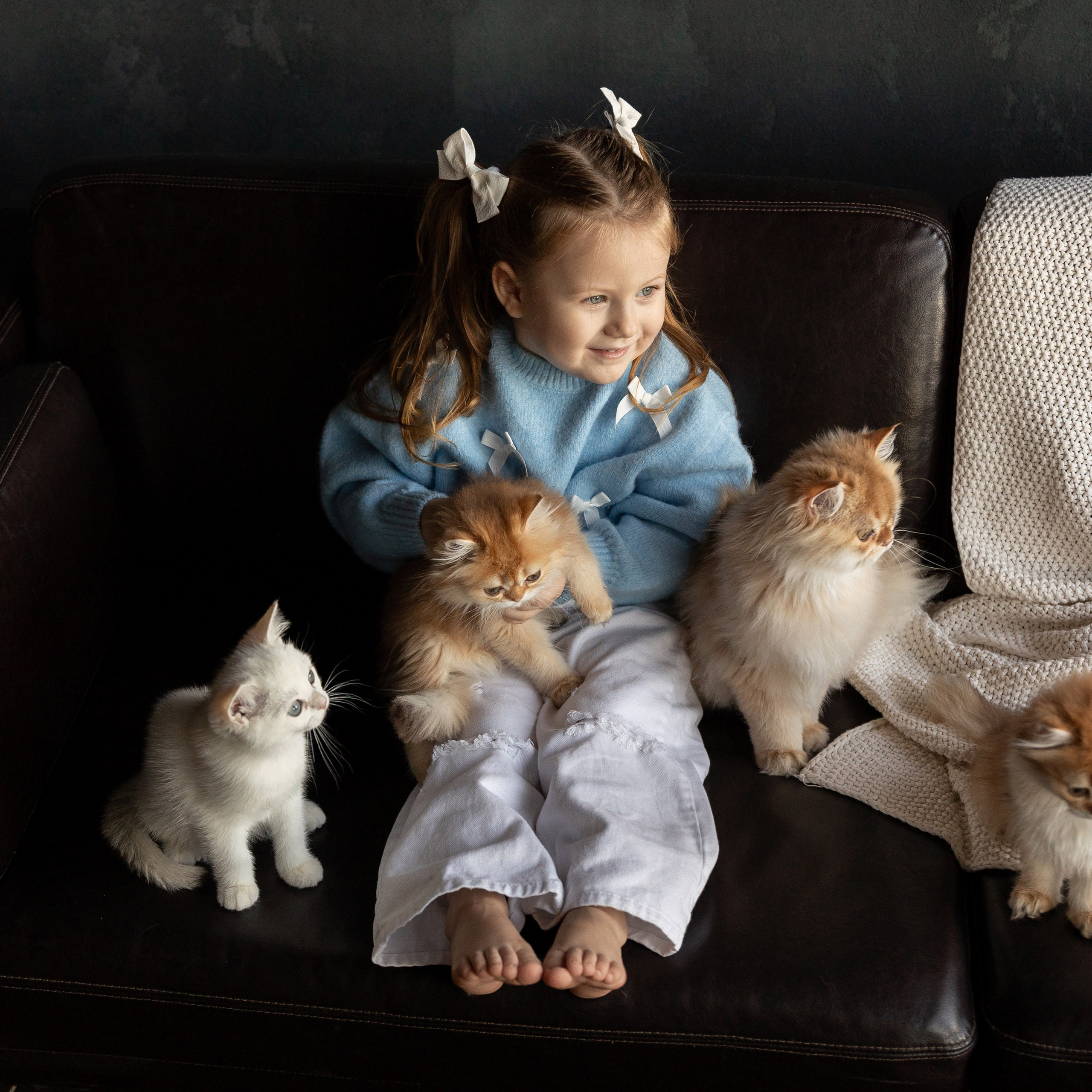 Фотосессия с котятами. Семейный и свадебный фотограф в Санкт-Петербурге Татьяна Швыкова