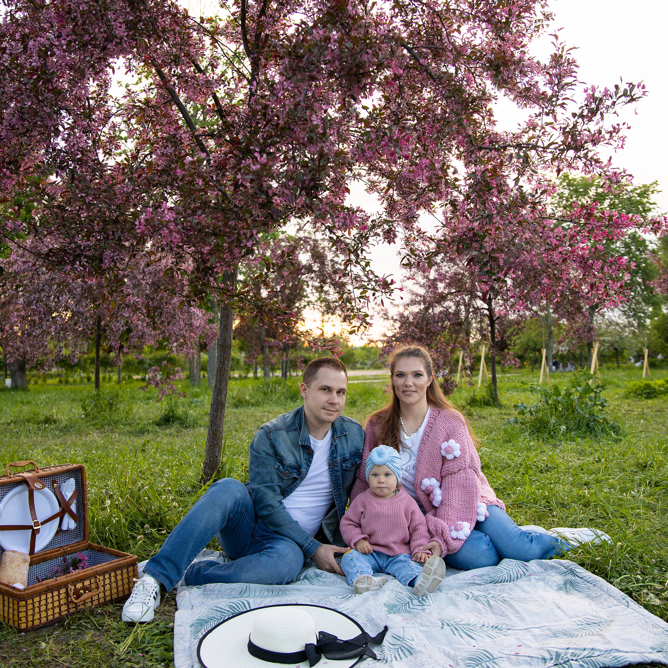 семья на пикнике