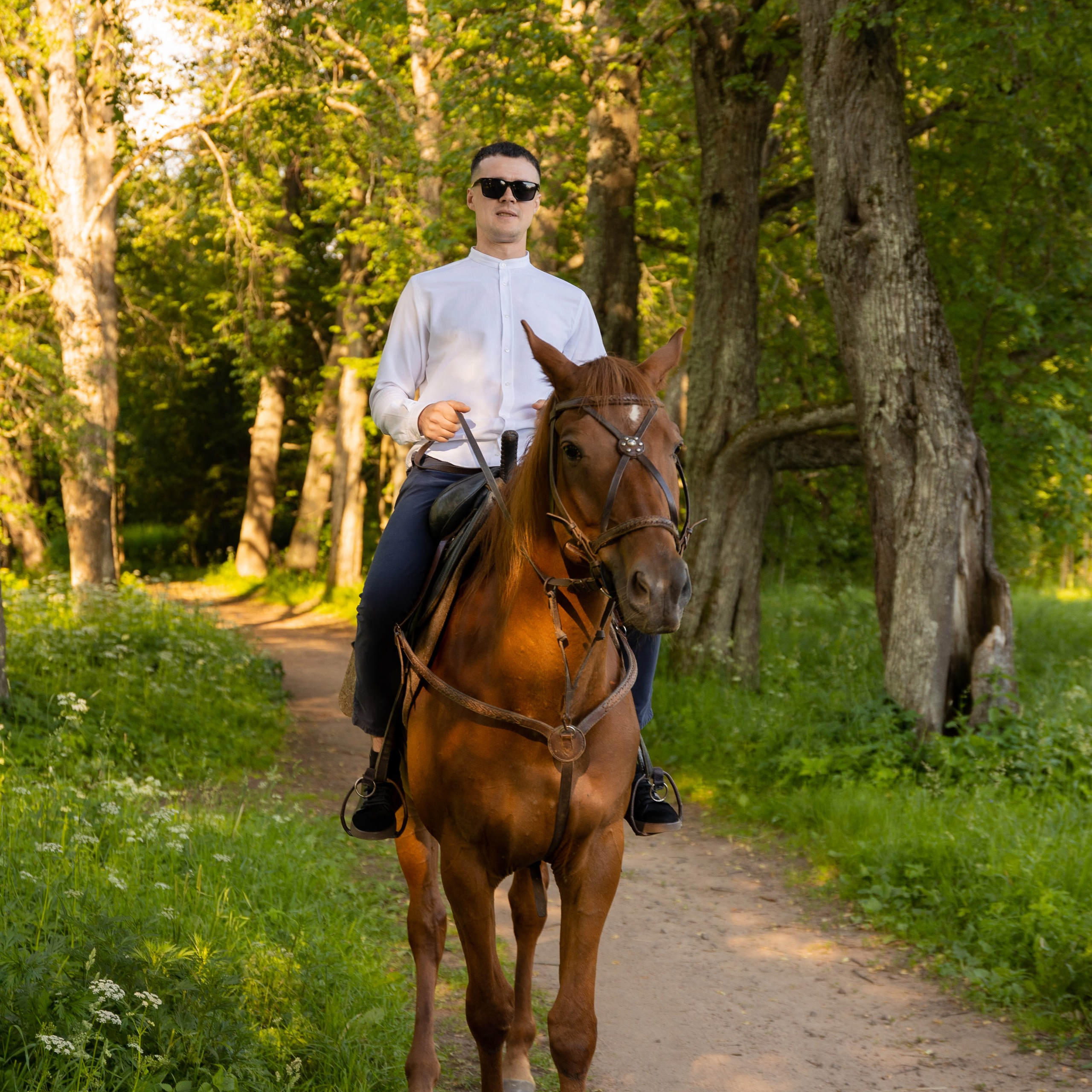 Фотопрогулка на лошадях. Семейный и свадебный фотограф в Санкт-Петербурге Татьяна Швыкова