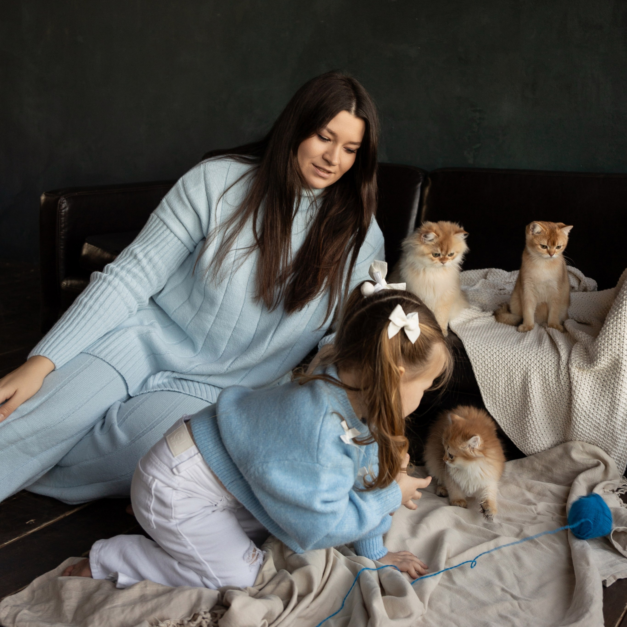 Фотосессия с котятами. Семейный и свадебный фотограф в Санкт-Петербурге Татьяна Швыкова