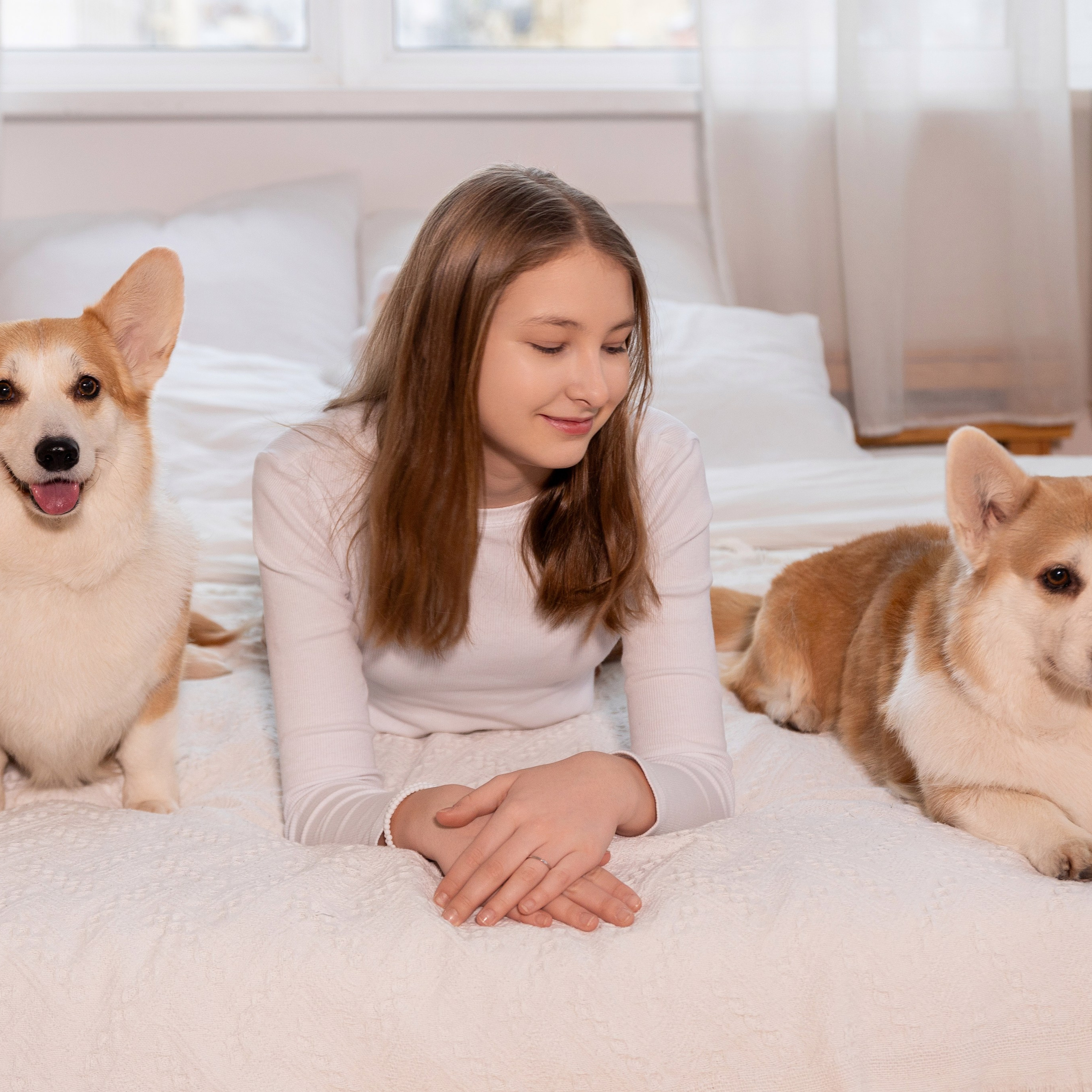 Фотосессия с корги. Семейный и свадебный фотограф в Санкт-Петербурге Татьяна Швыкова