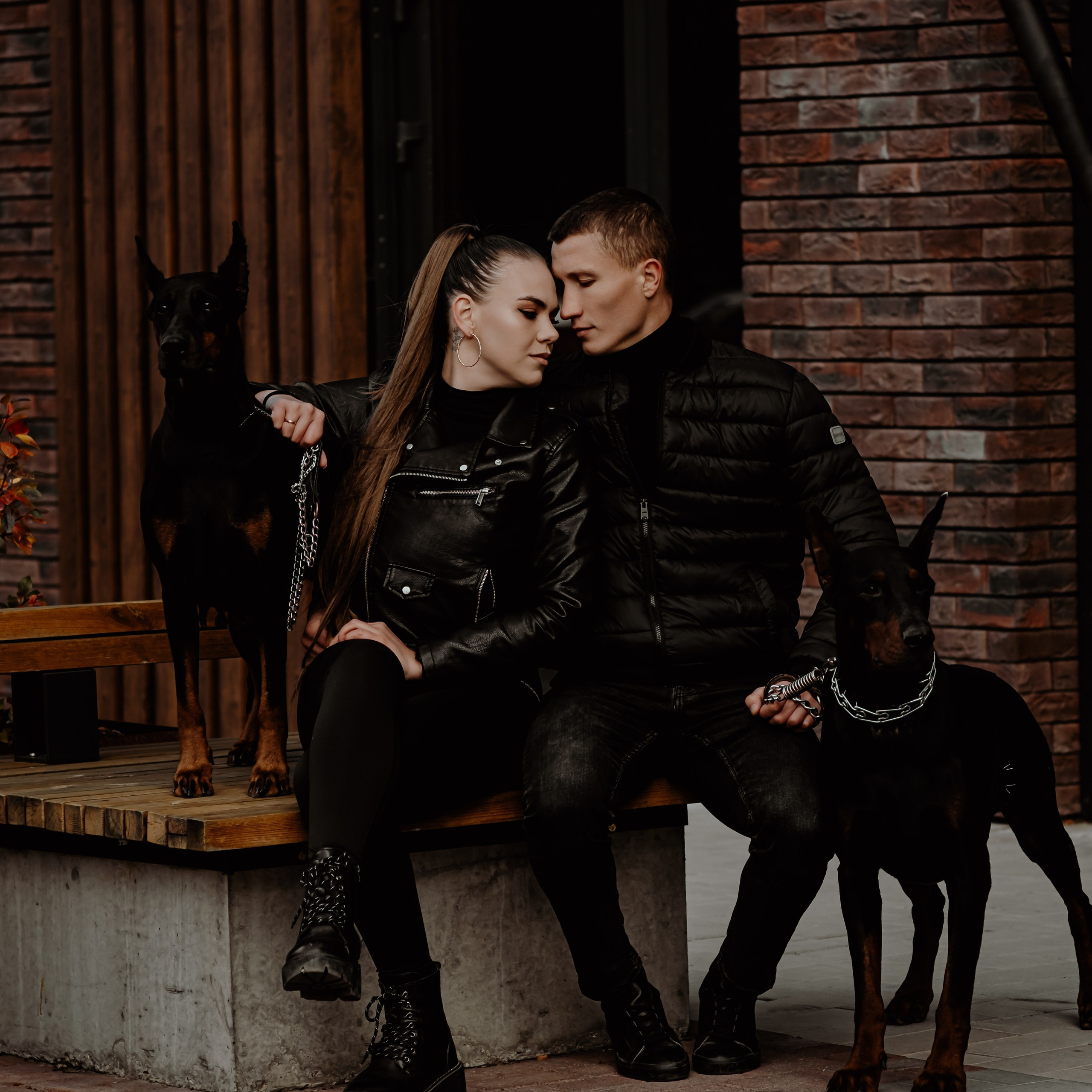 прогулка с доберманами