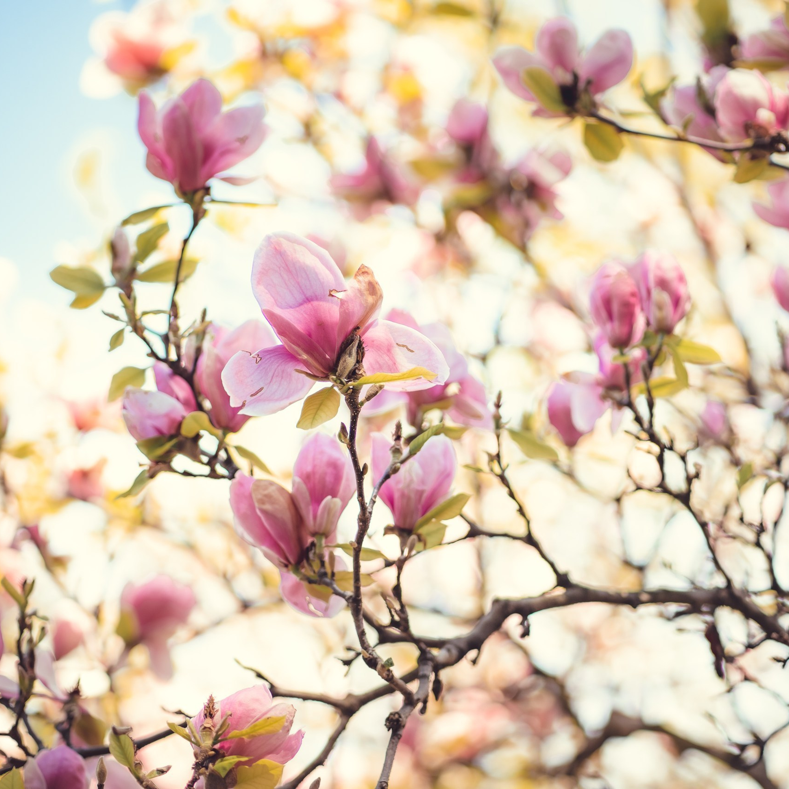 Отзывы. Фотограф и фотохудожник