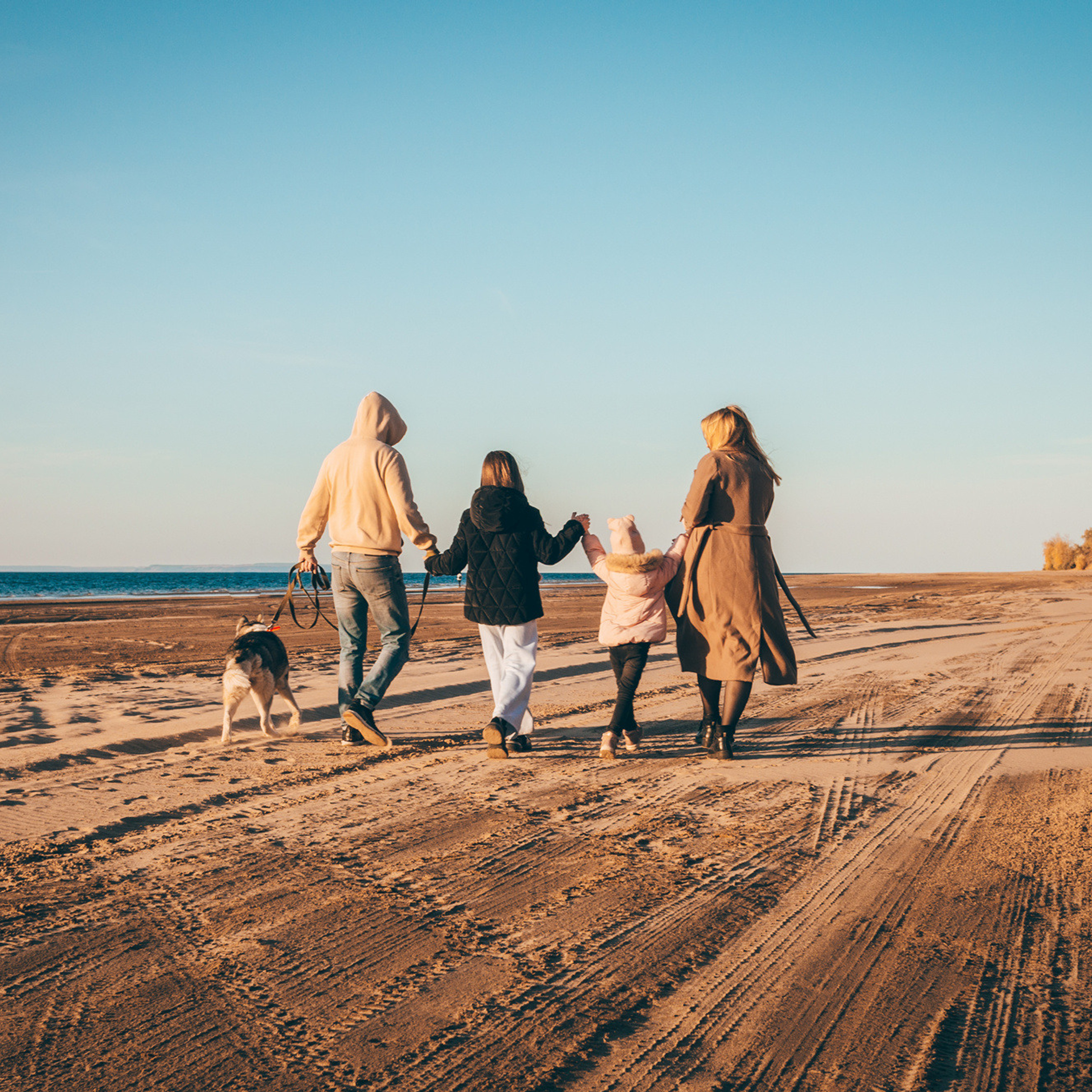 Эмилия, Аделия, Вероника, Радик и Шкода