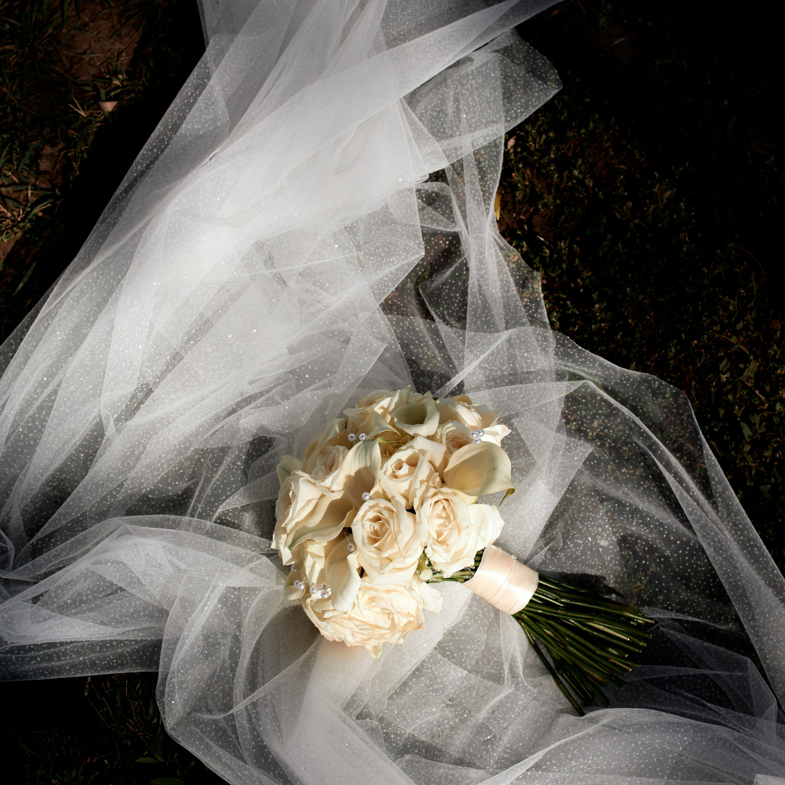 Отзывы. Прайс