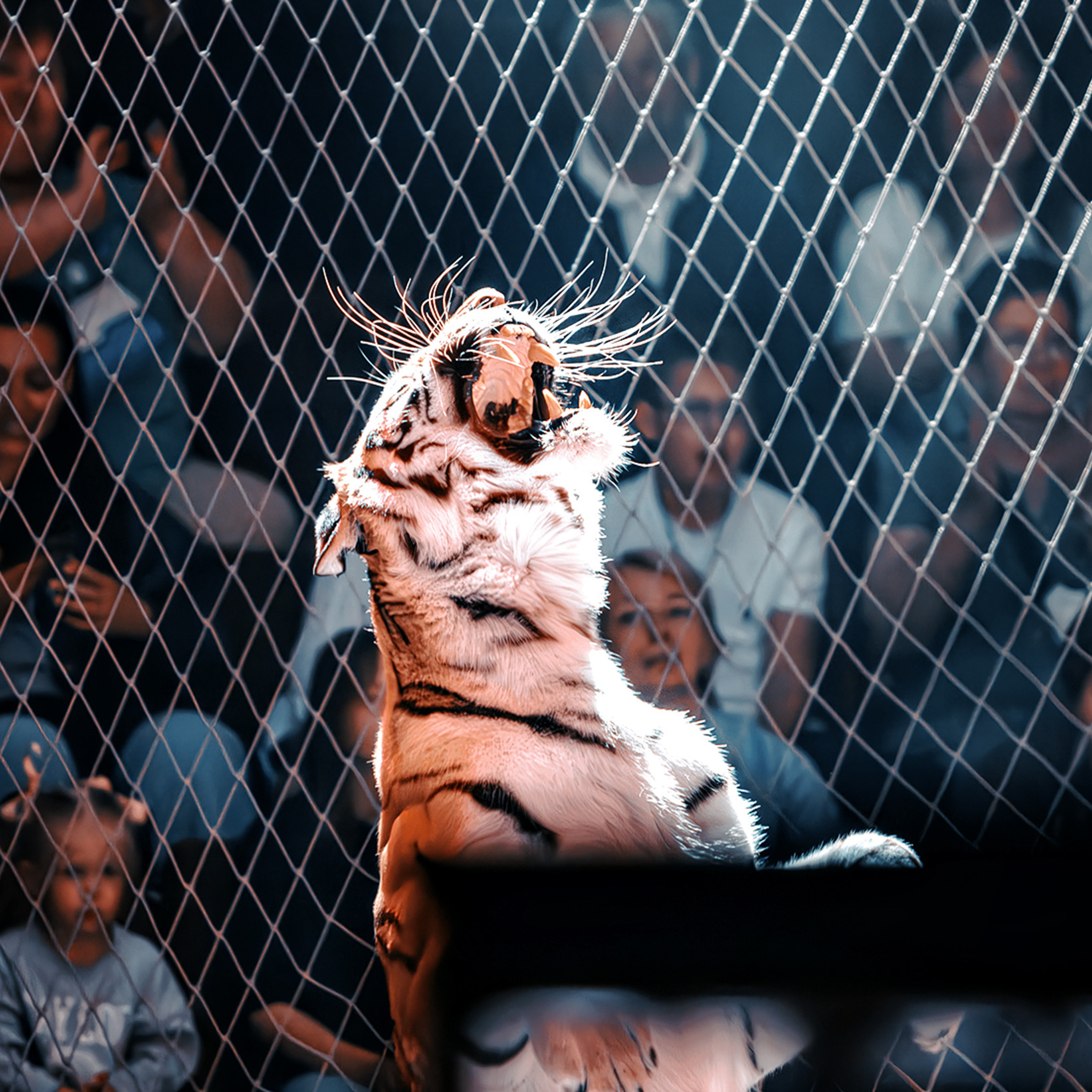 FEEDBACK. Sveta GOSHTAUTAS фотограф Пермь