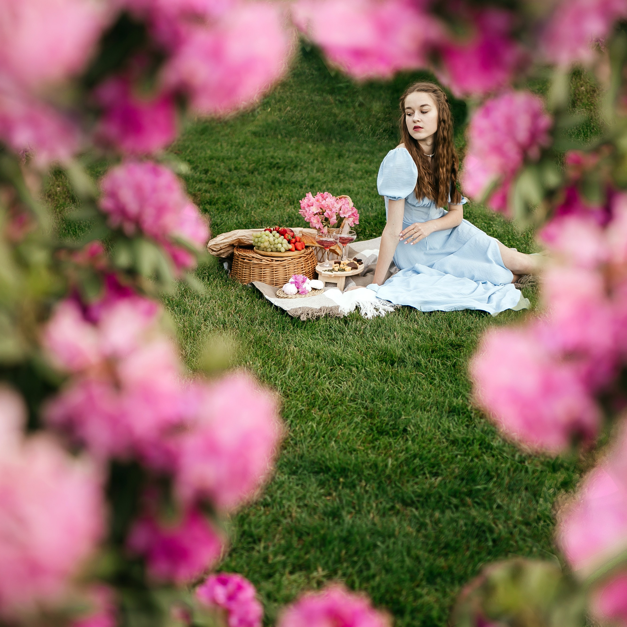 Цветение Рододендрона