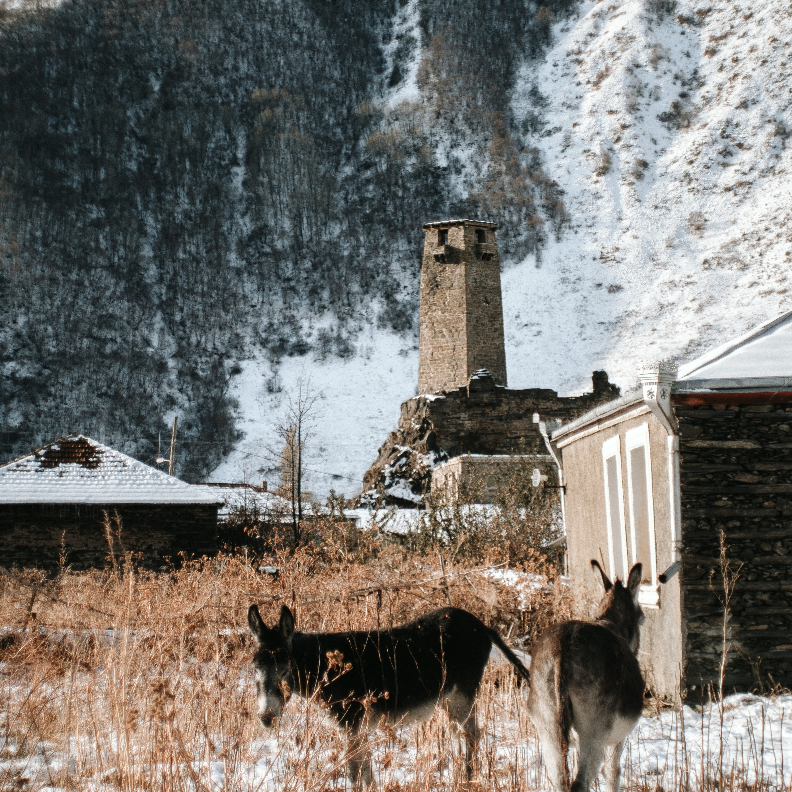 Грузия. Photographer Cyprus