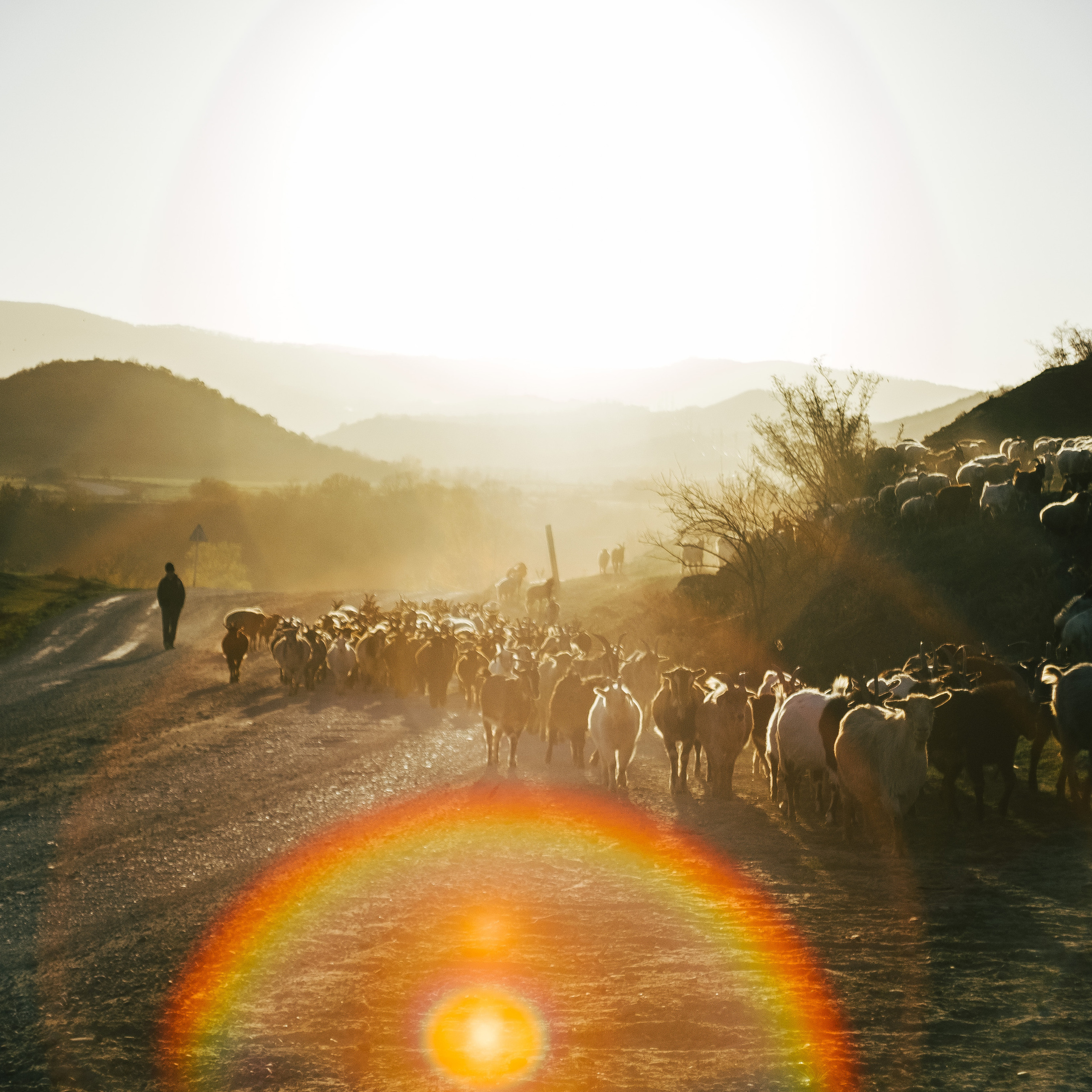 Дагестан. Фотограф на Бали|Свадьба на Бали