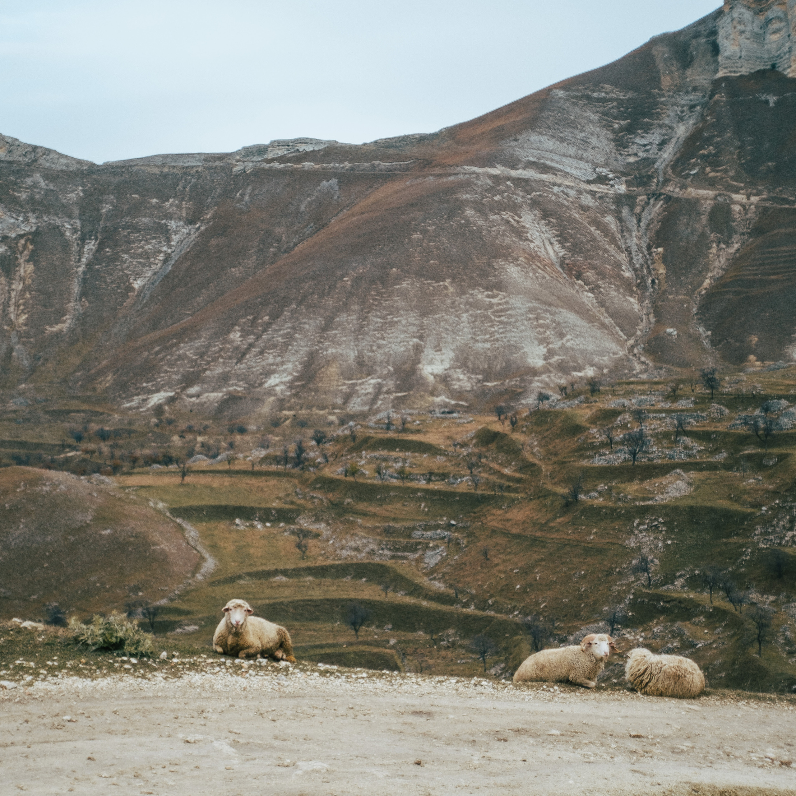 Дагестан. Фотограф на Бали|Свадьба на Бали