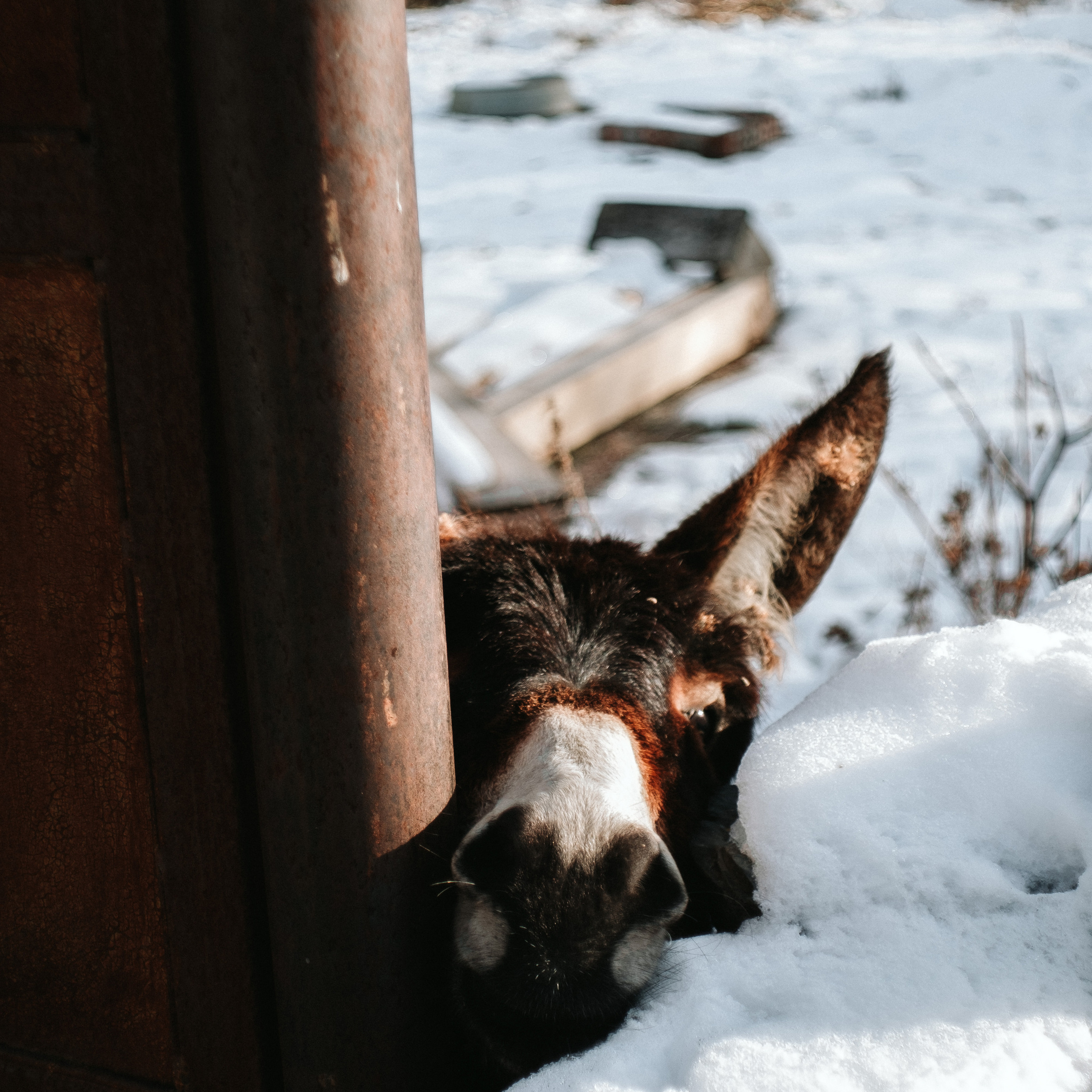 Грузия. Photographer Cyprus