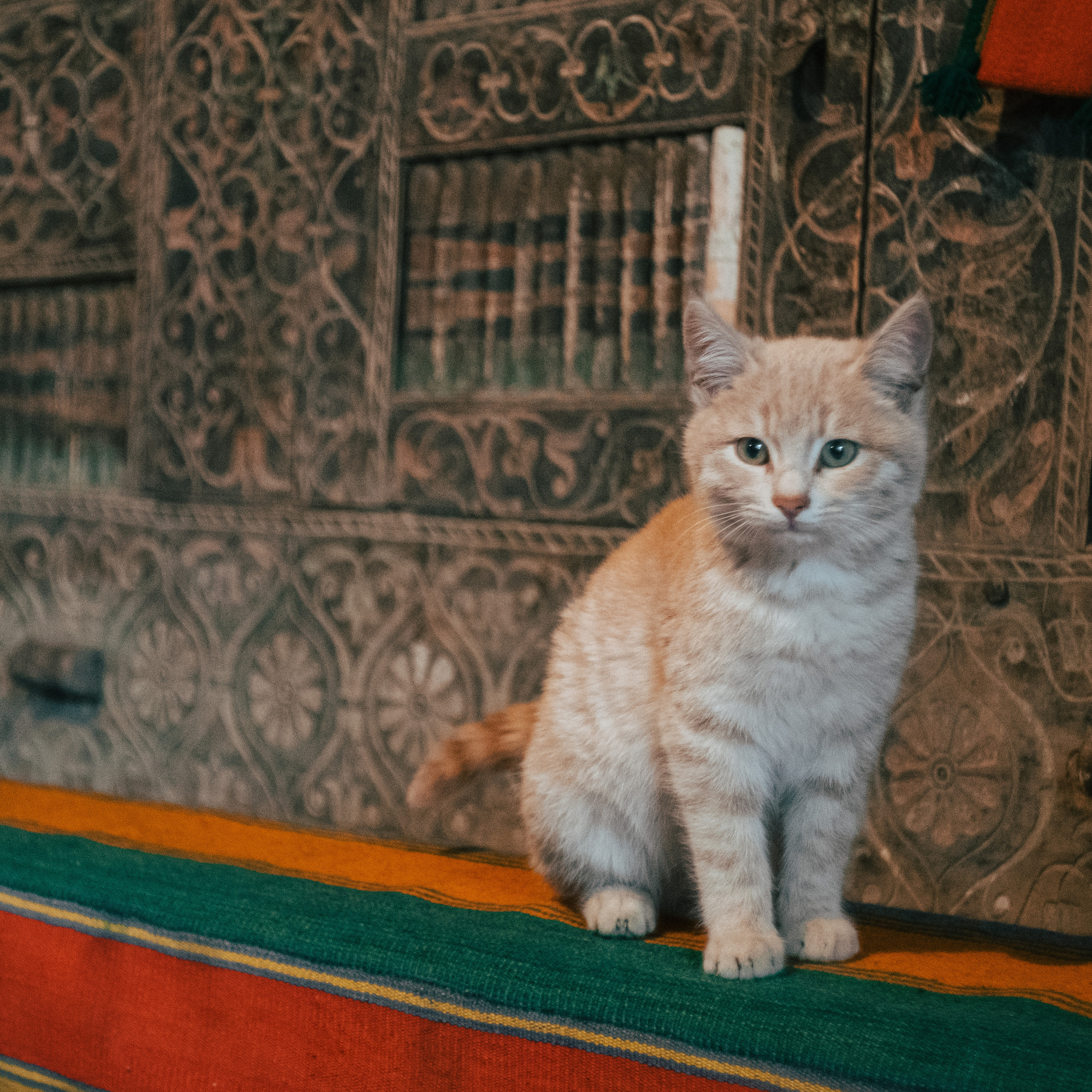 Дагестан. Фотограф на Бали|Свадьба на Бали