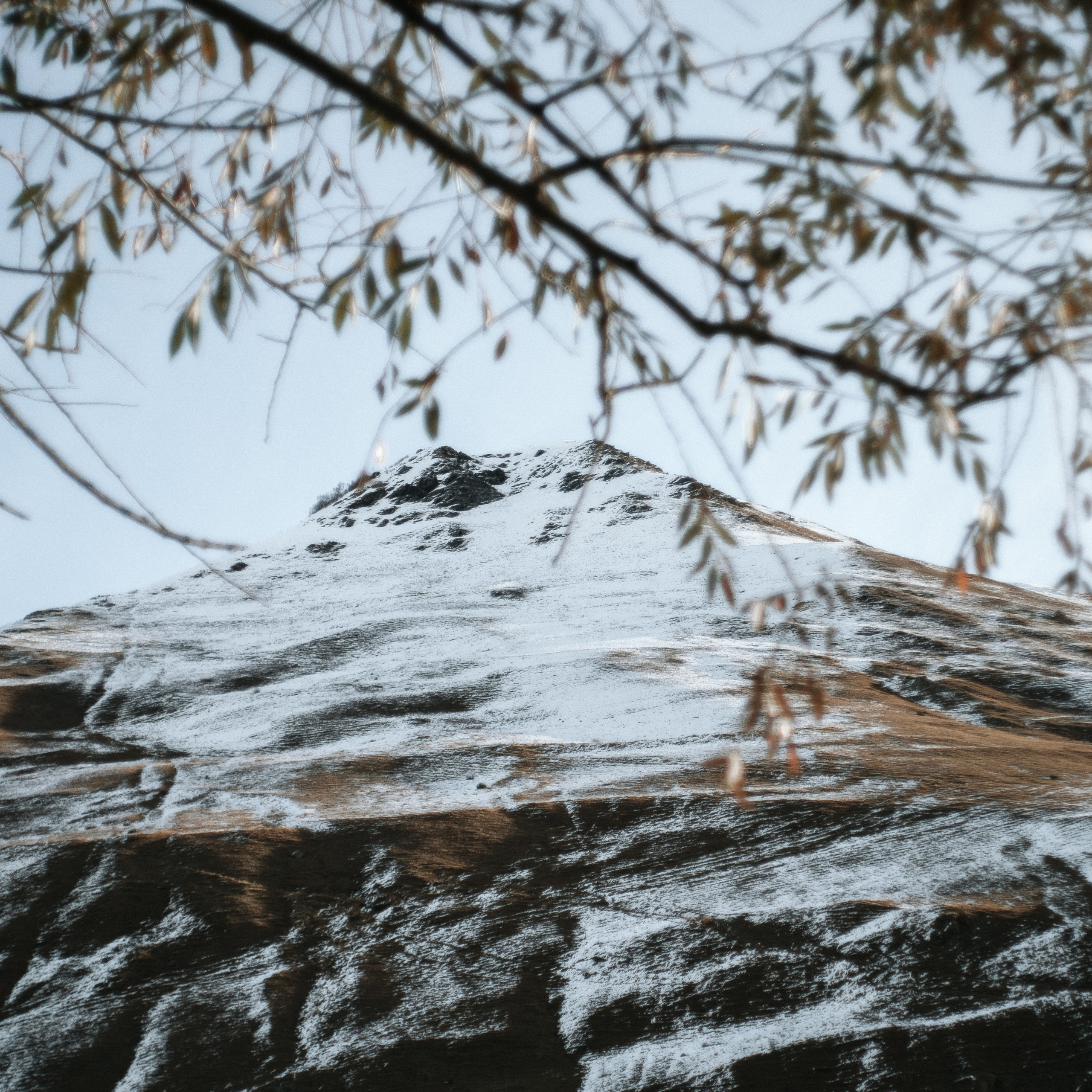 Грузия. Photographer Cyprus