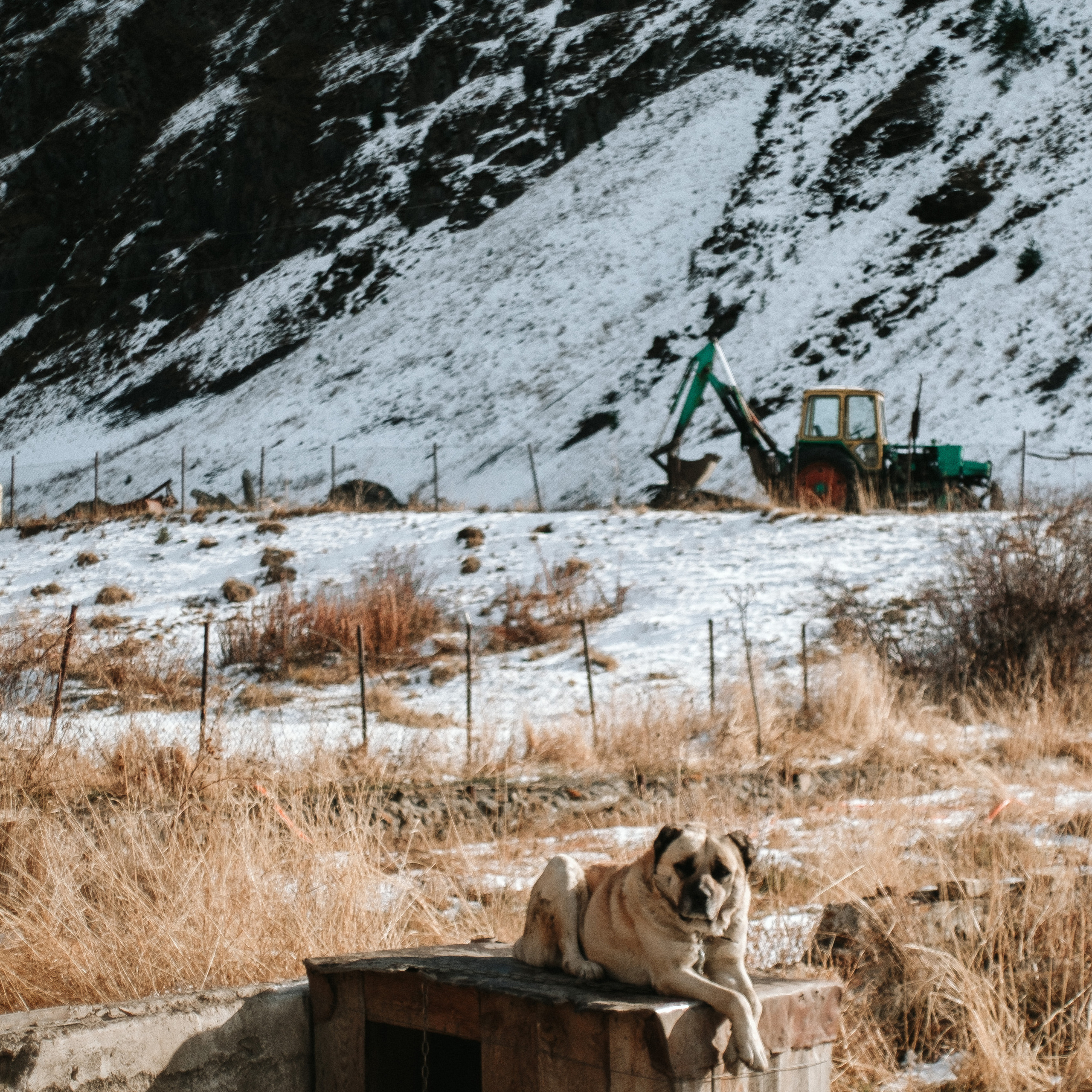 Грузия. Photographer Cyprus