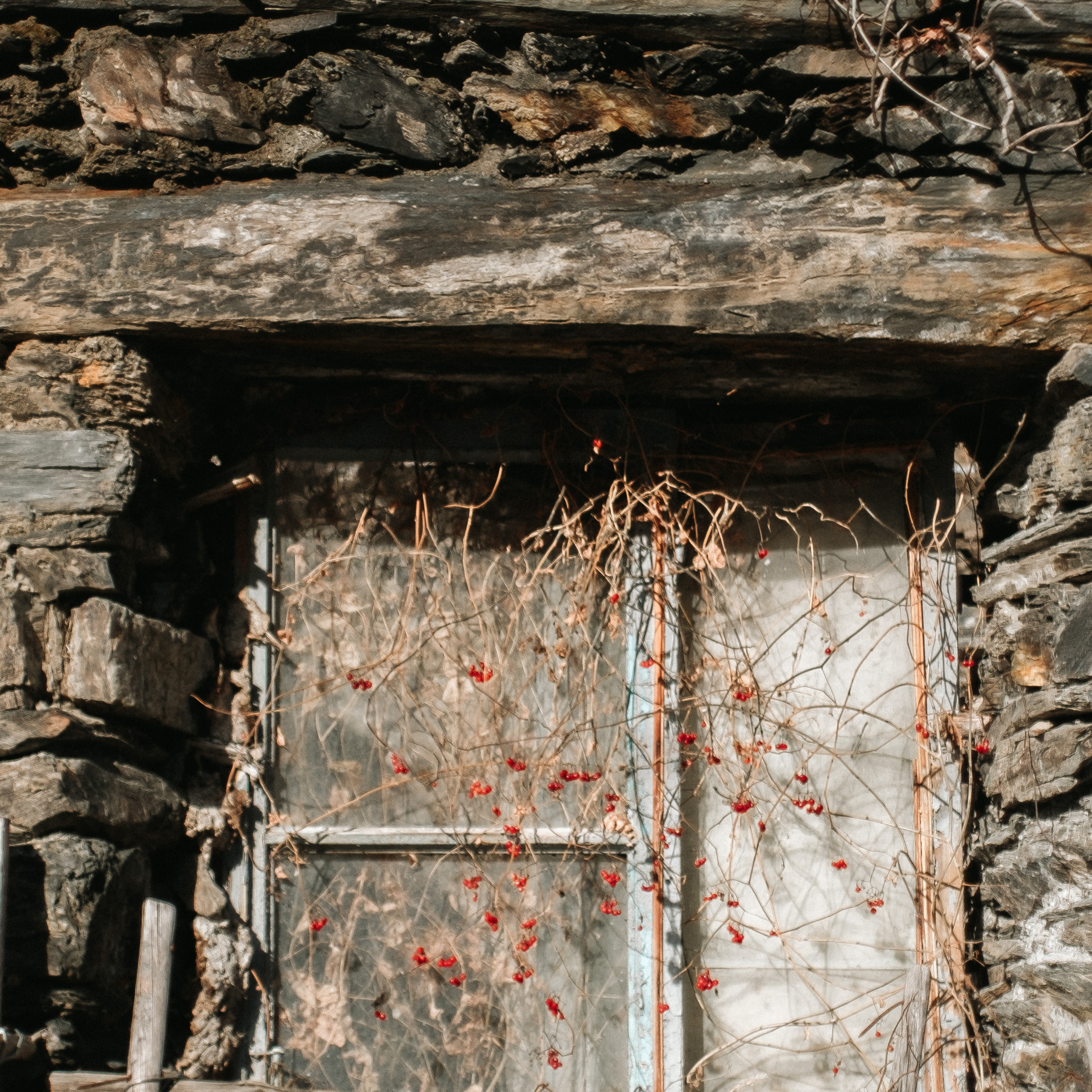 Грузия. Photographer Cyprus