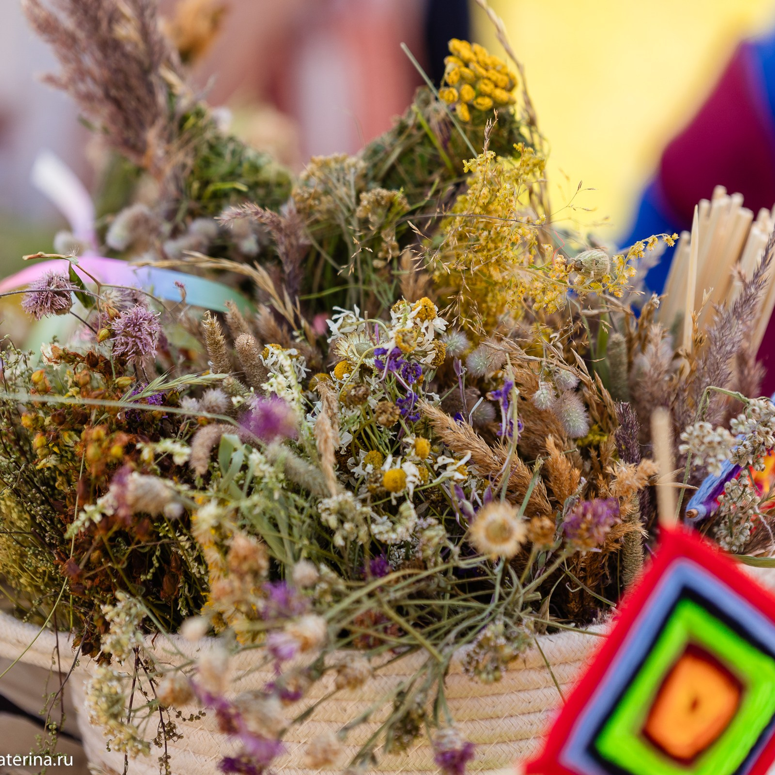 Областной фестиваль «День детства». Фотограф Лодейное Поле Екатерина Герасимова в Санкт-Петербурге и Лен. области