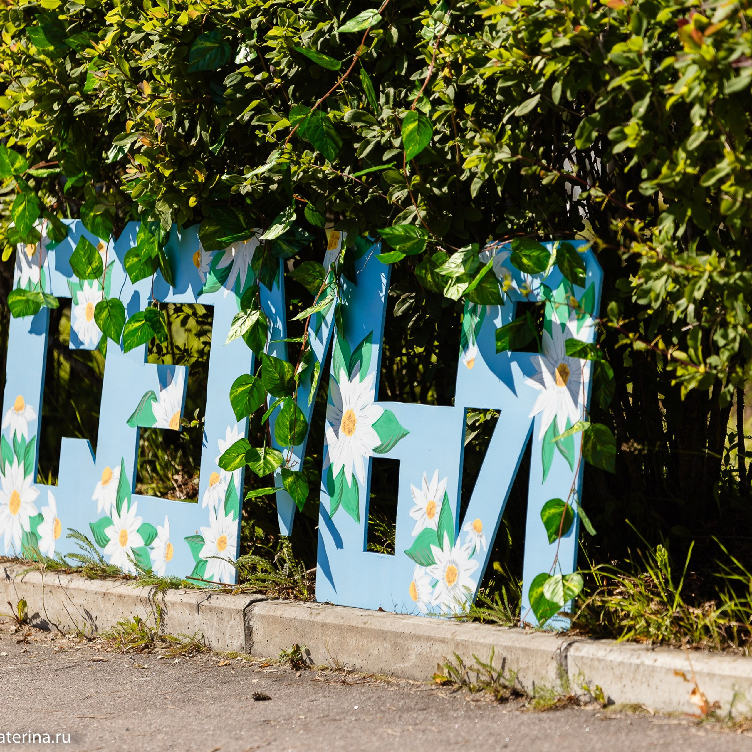 Областной фестиваль «День детства». Фотограф Лодейное Поле Екатерина Герасимова в Санкт-Петербурге и Лен. области