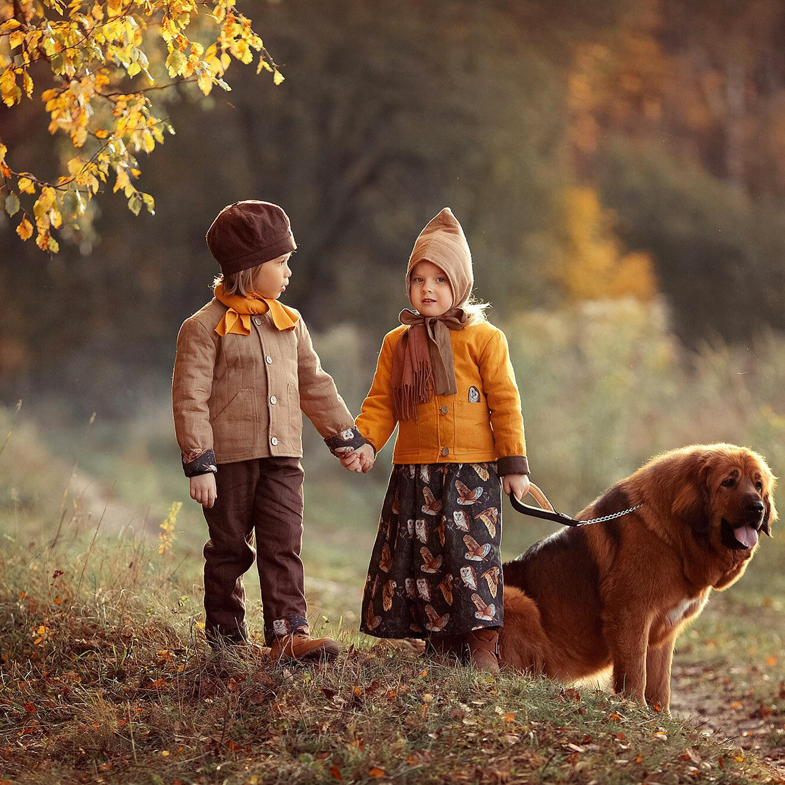 Видеоурок по обработке осенних фотографий. Семейный фотограф Татьяна Надеждина | Москва, Московская область, Ярославль