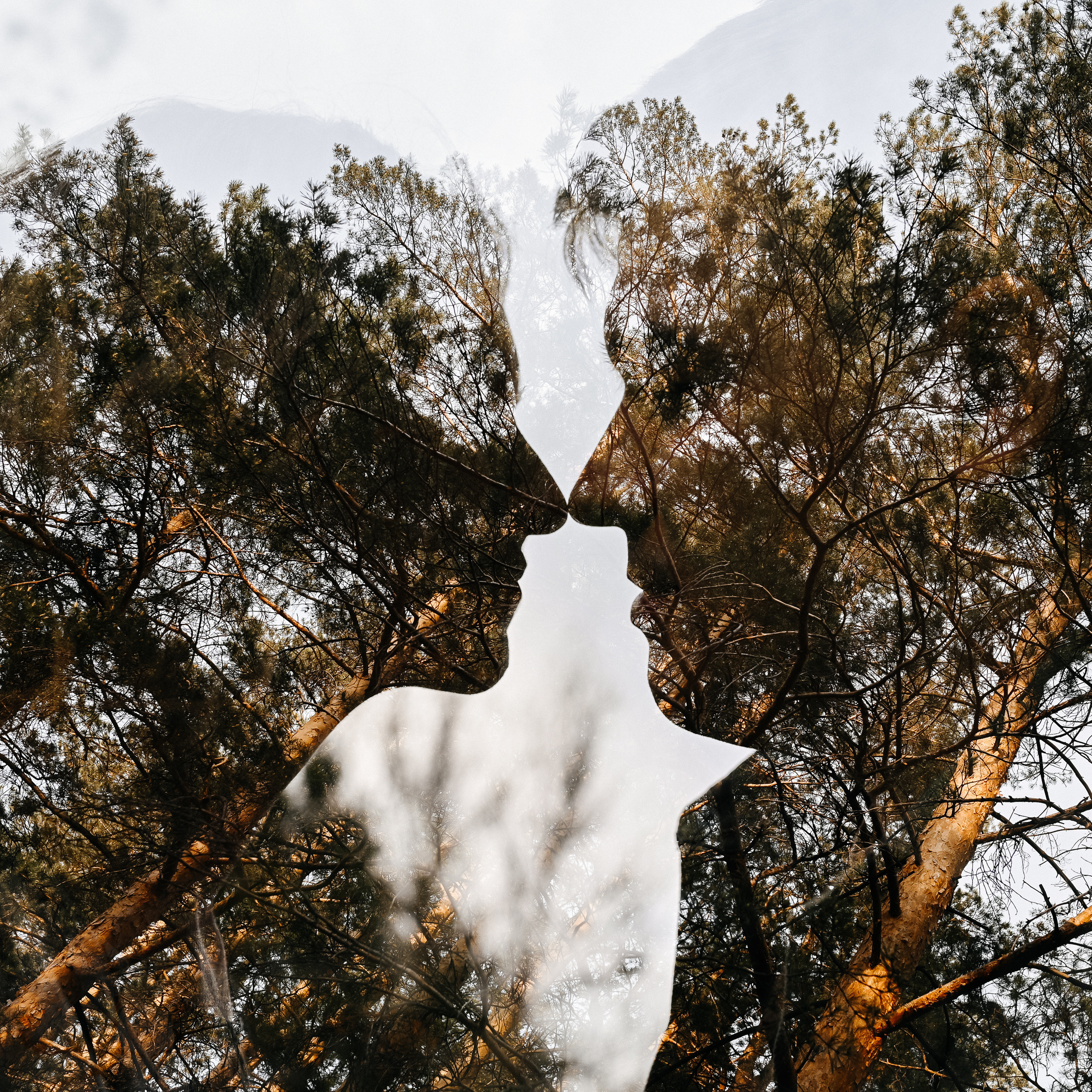 Отзывы. Свадебная  съемка на Алтае