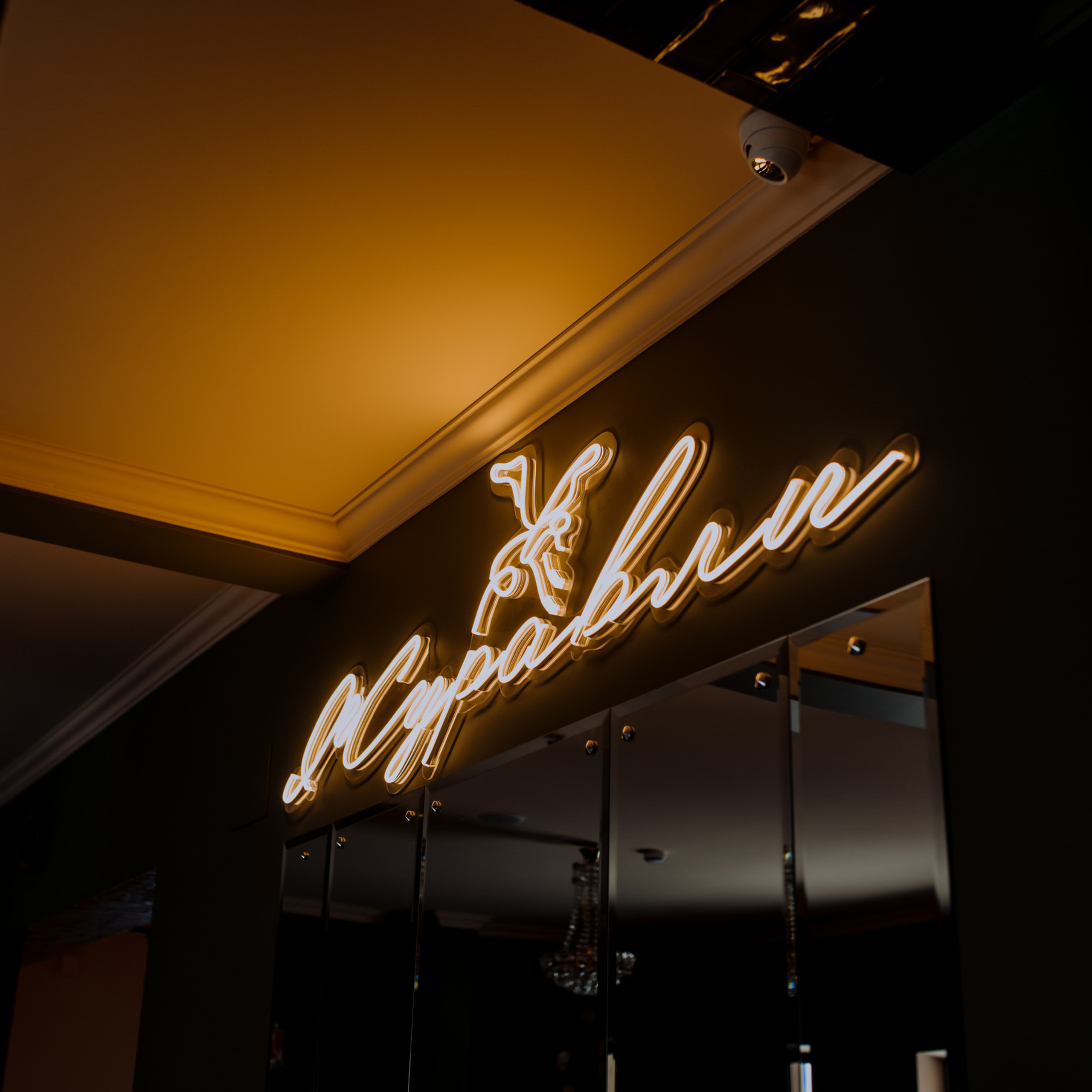 Отзывы. Фотограф Светлана Васильева