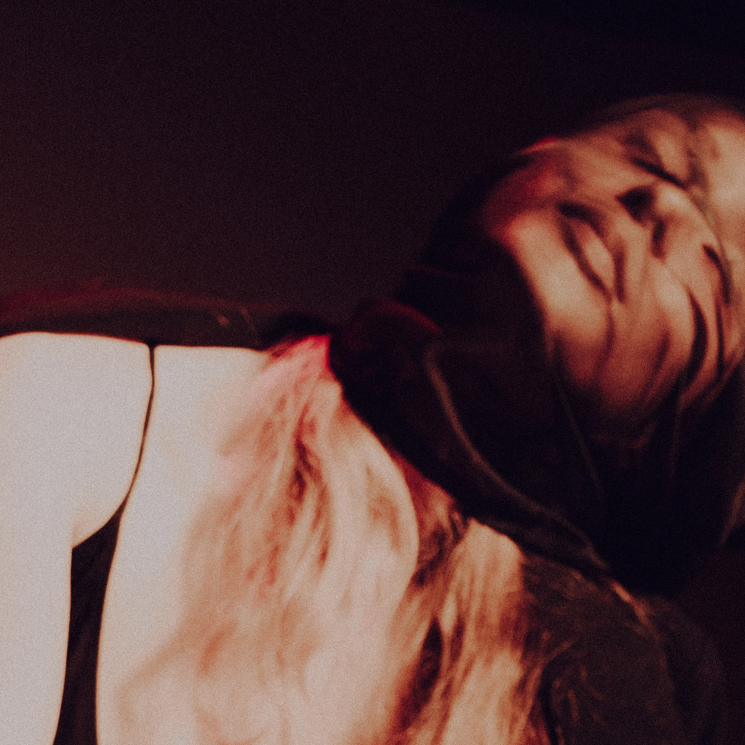 Отзывы. Фотоведьма Дарья Нечинская