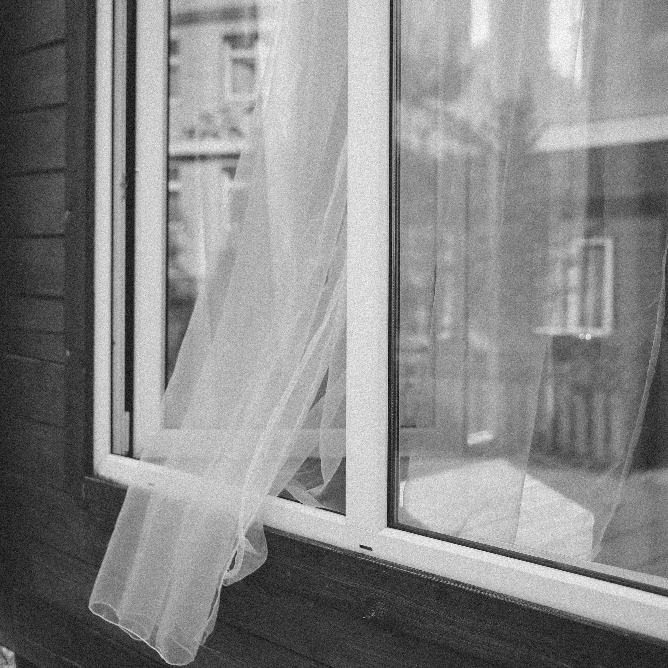 Best Friends Camp. Главная