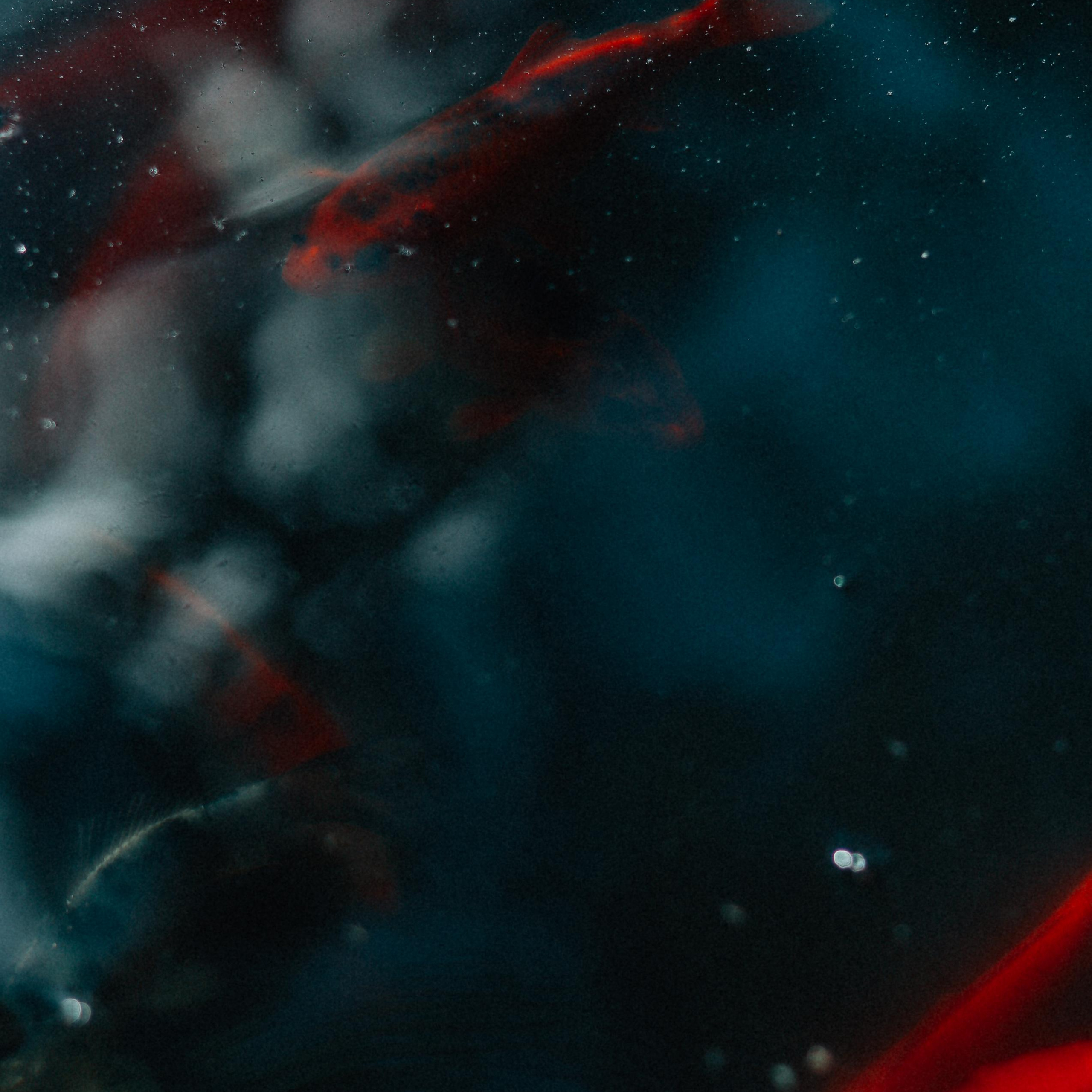 Prosto foto. Главная