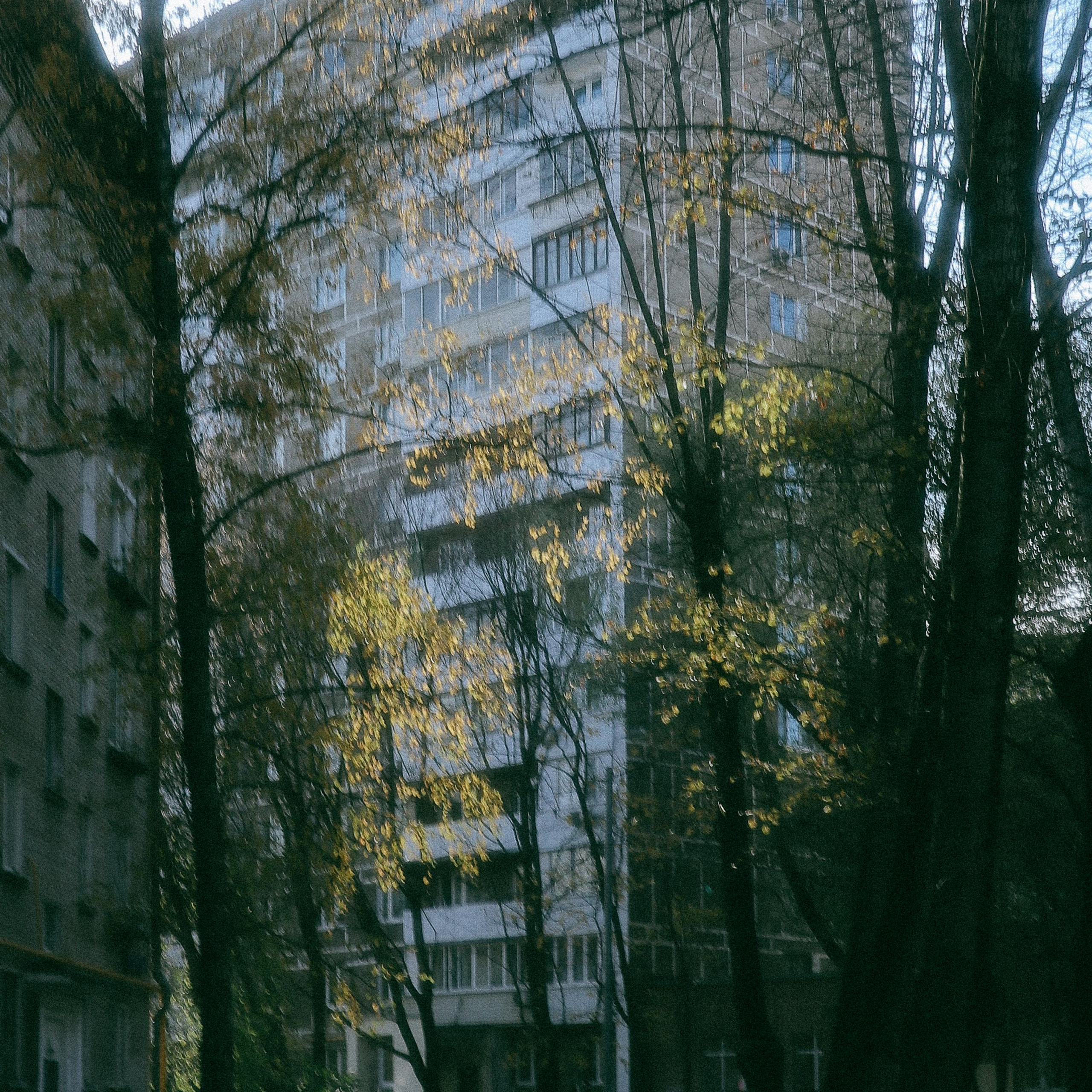 Prosto foto. Главная