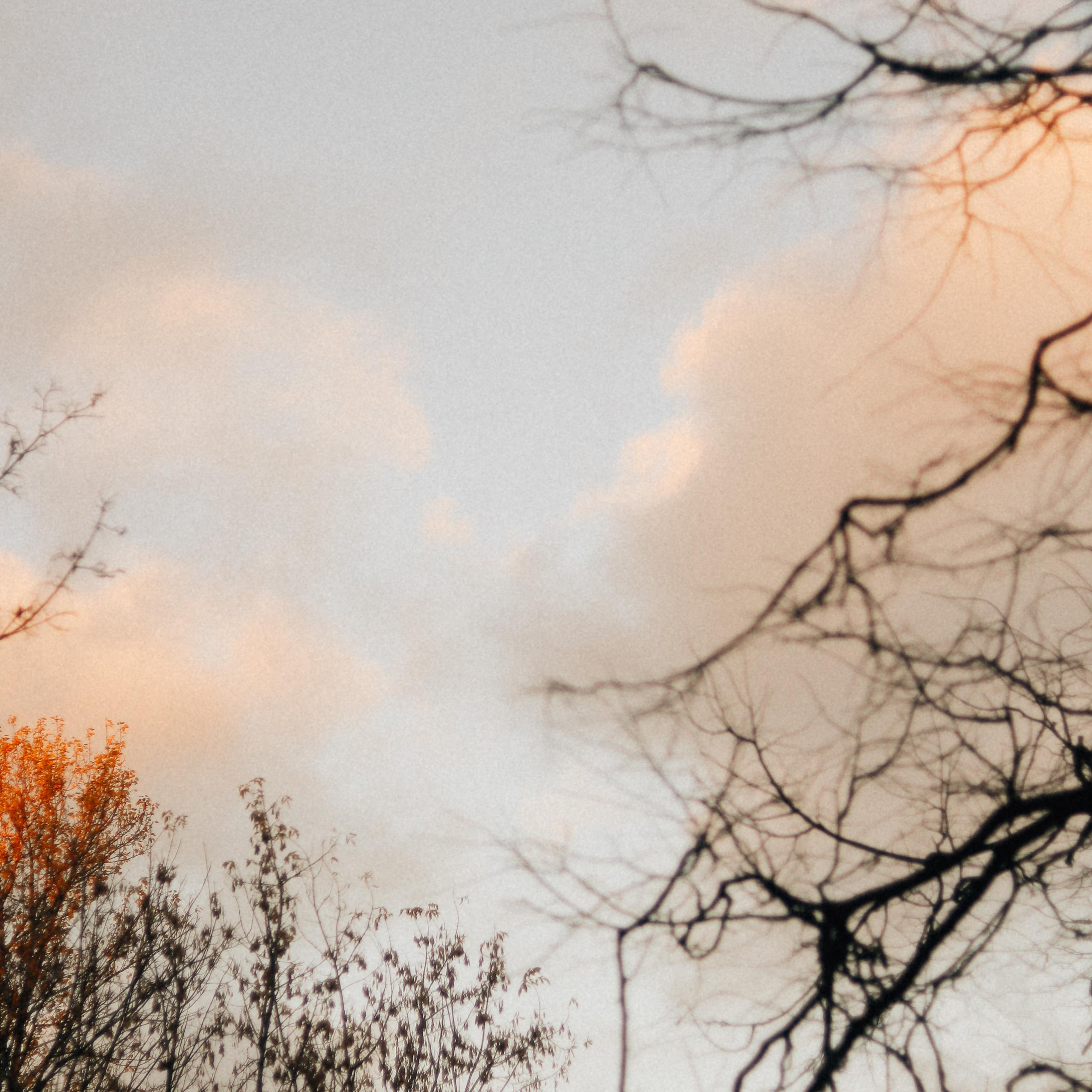 Prosto foto. Главная