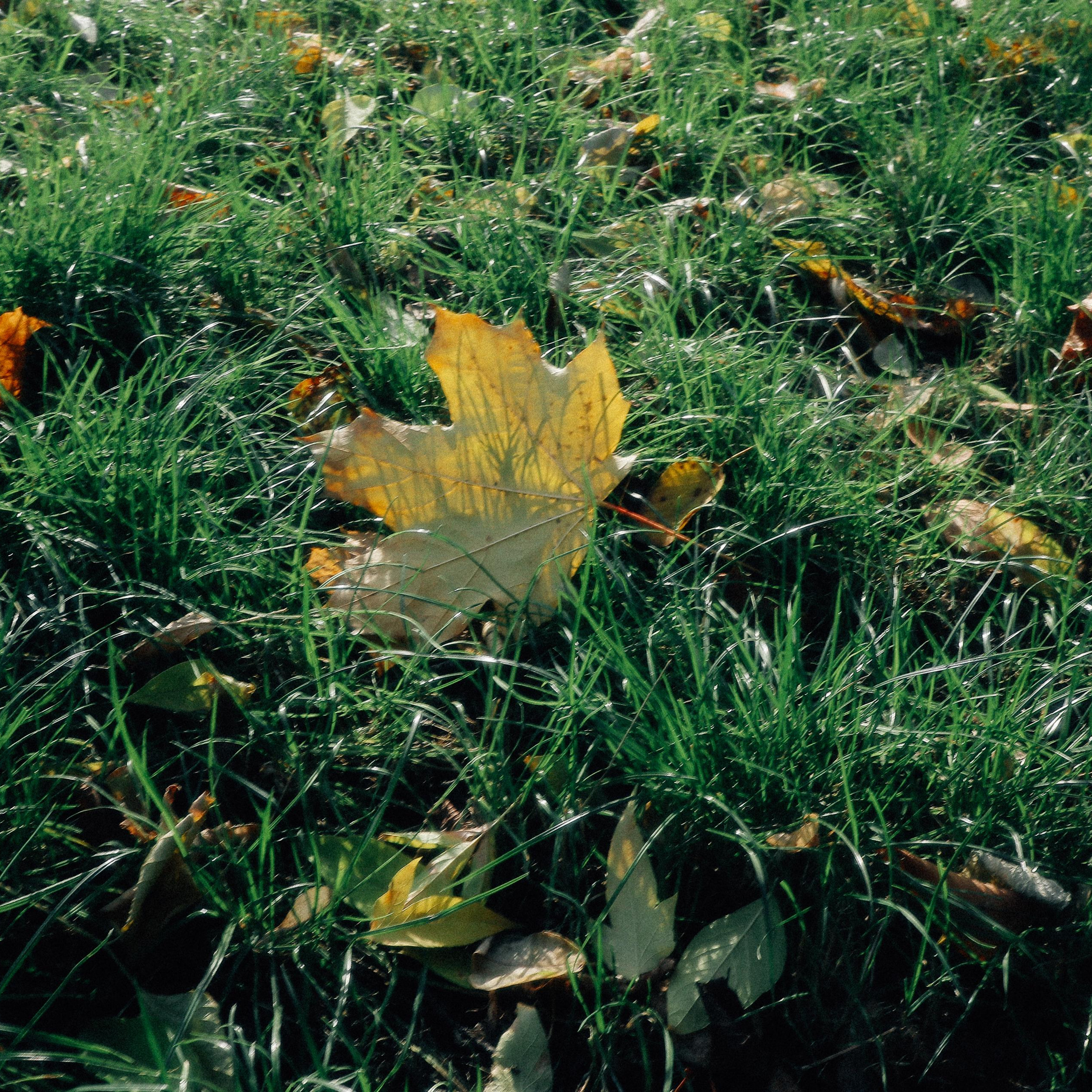 Prosto foto. Главная