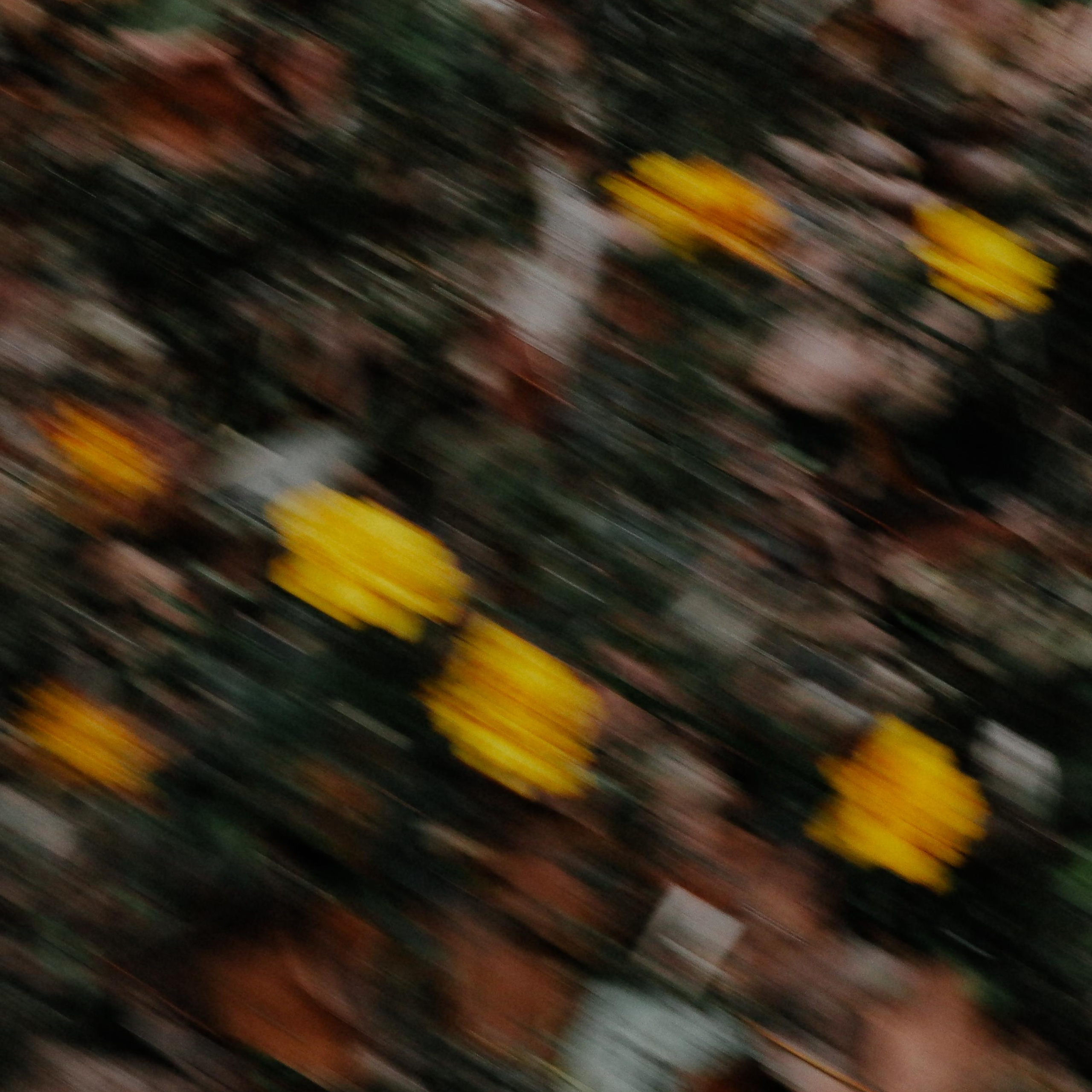 Prosto foto. Главная