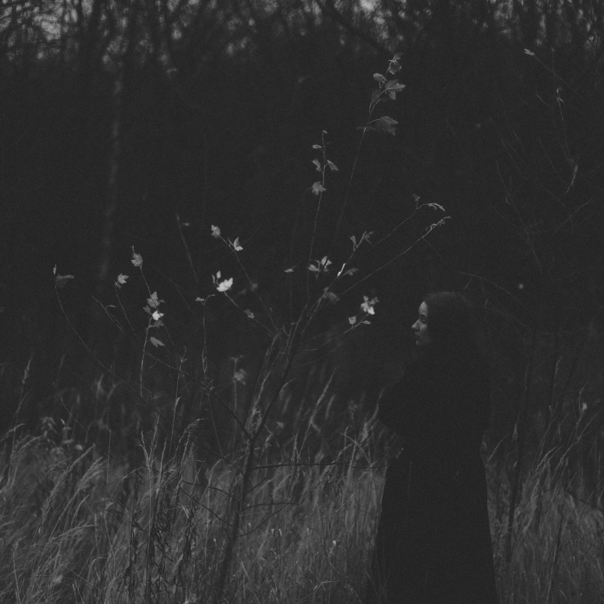 Girls. Главная