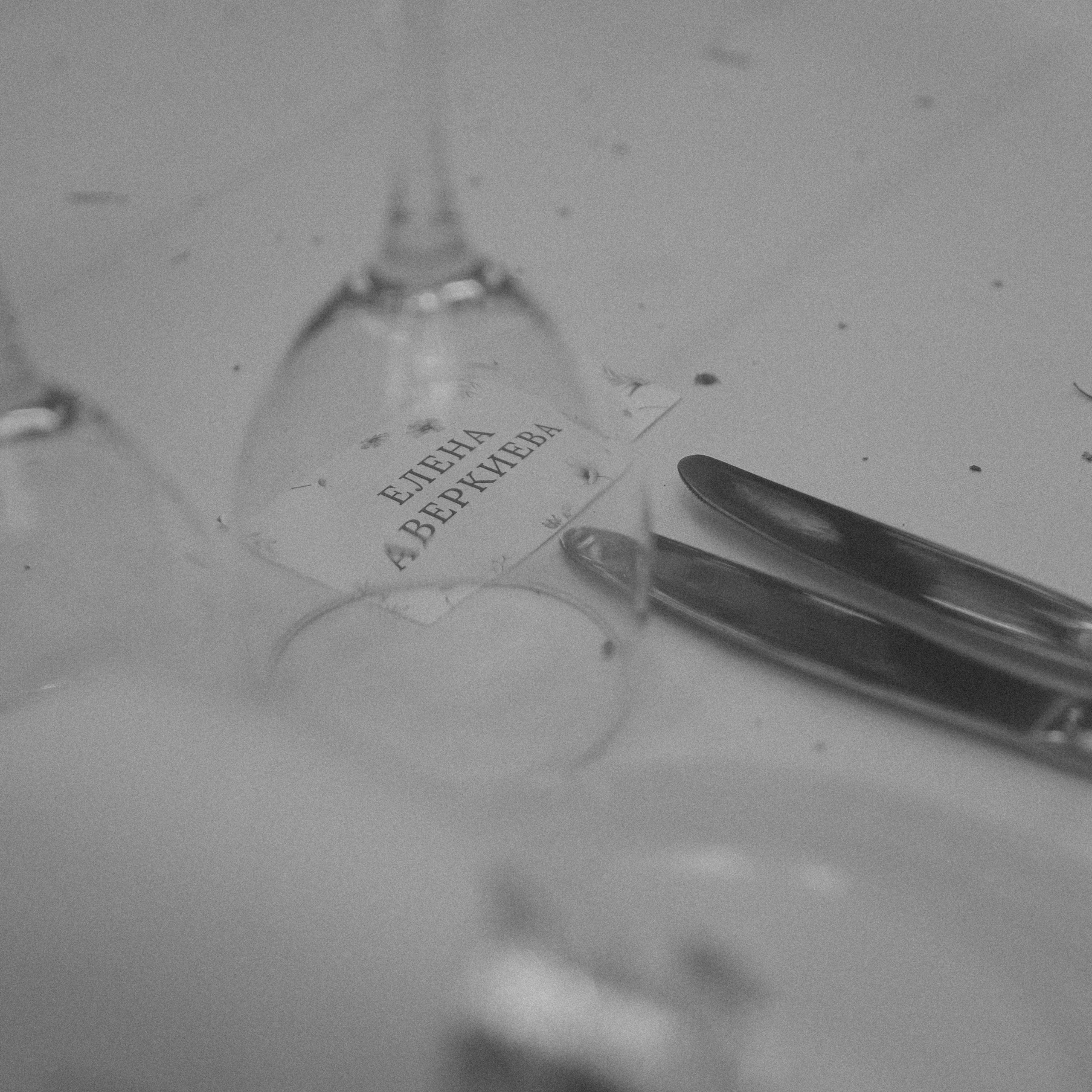 Wedding mood. Главная