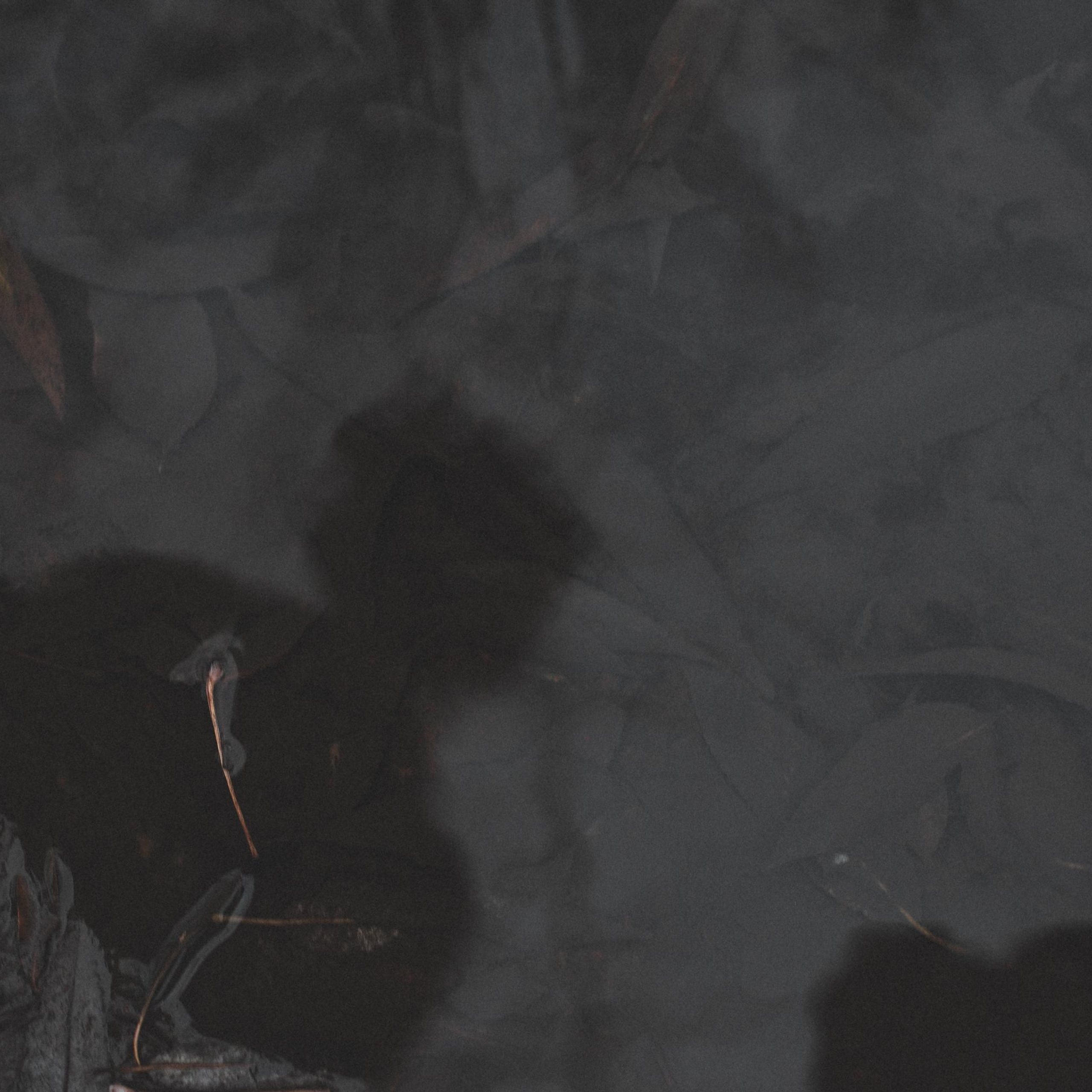 Girls. Главная