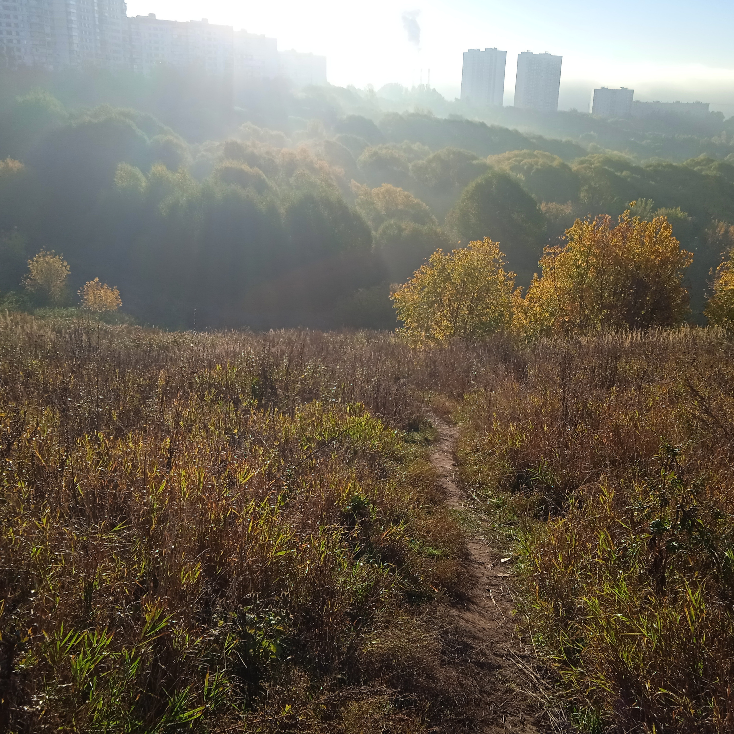 Отзывы. Фотограф в Москве Елена Хоук