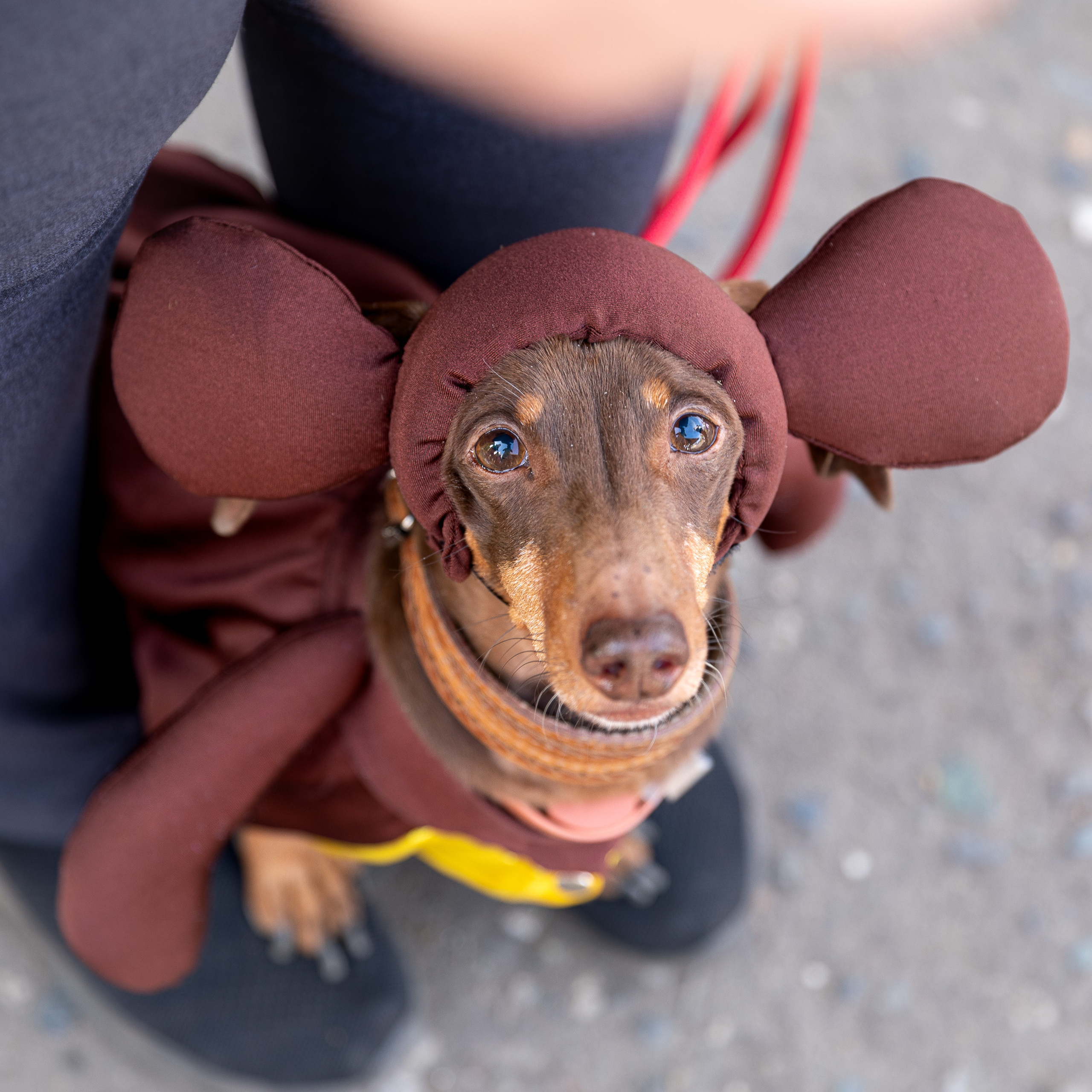 Отзывы Телекаева Анна. Фотограф Анна Телекаева, выпускные альбомы, семейные и репортажные съемки в Омске
